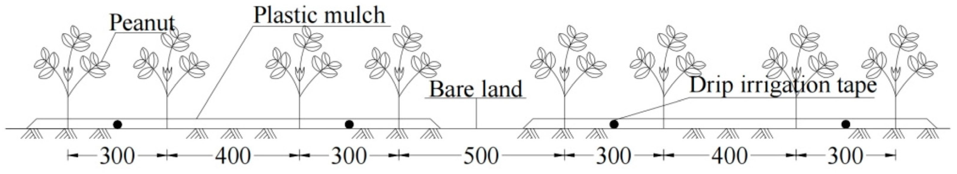 Agronomy 15 01302 g002