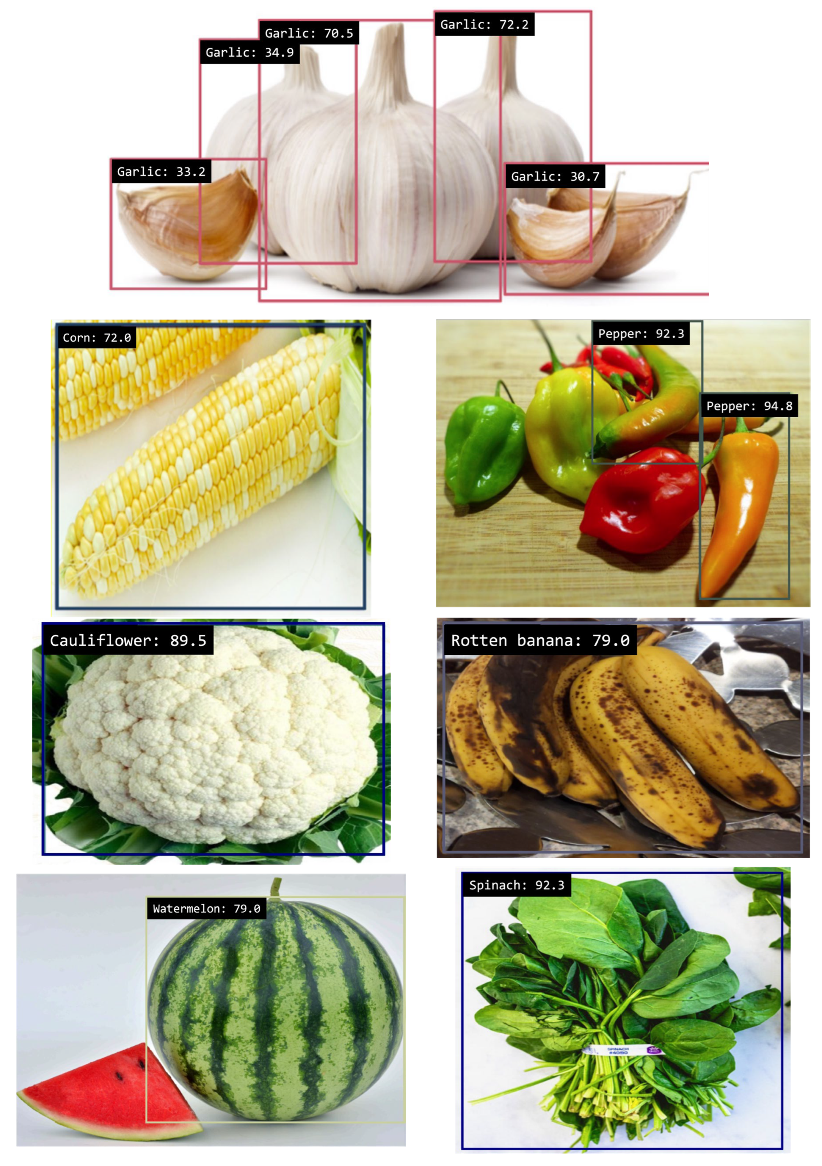 Agronomy 15 01307 g008