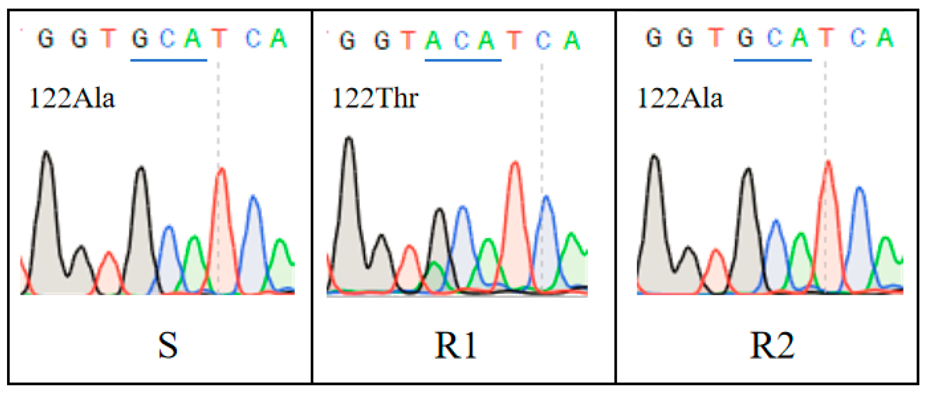 Agronomy 15 01309 g002 Agronomy 15 01309 g002