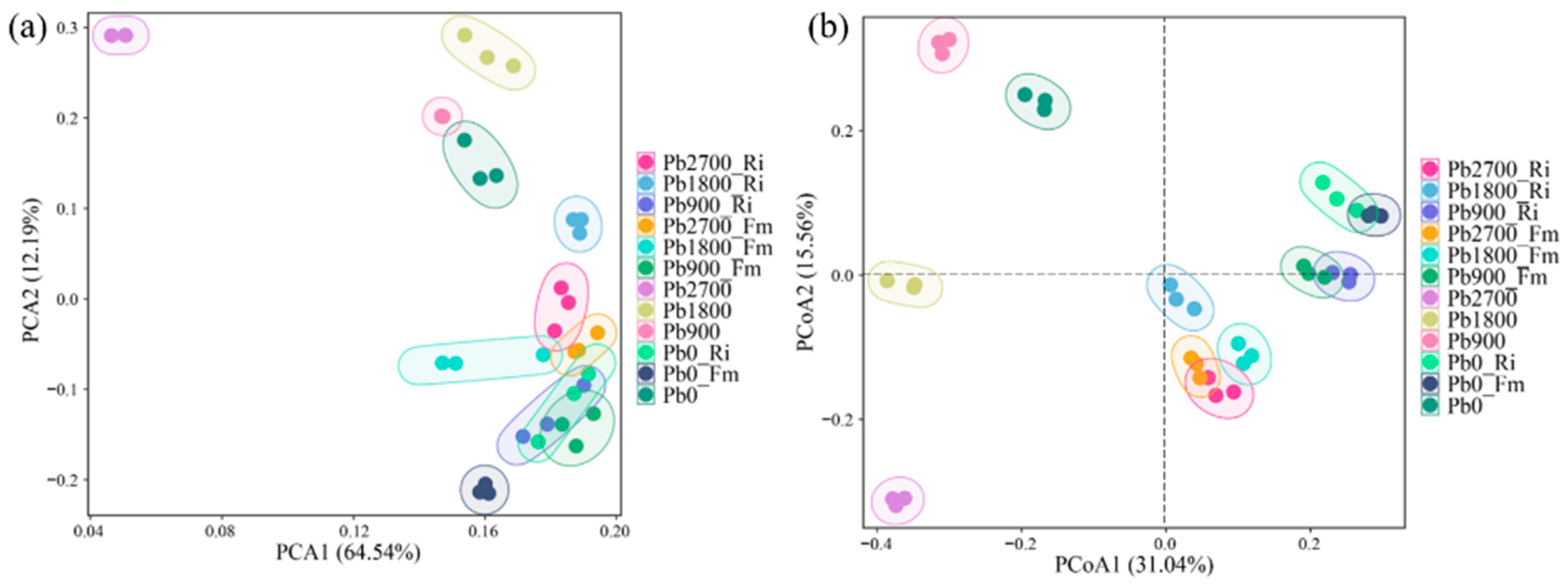 Agronomy 15 01310 g003
