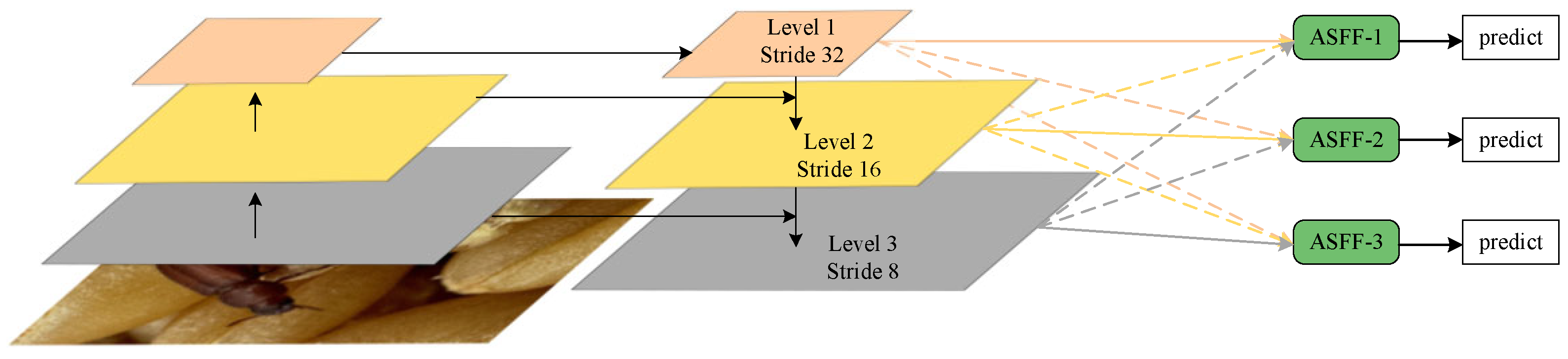 Agronomy 15 01313 g004