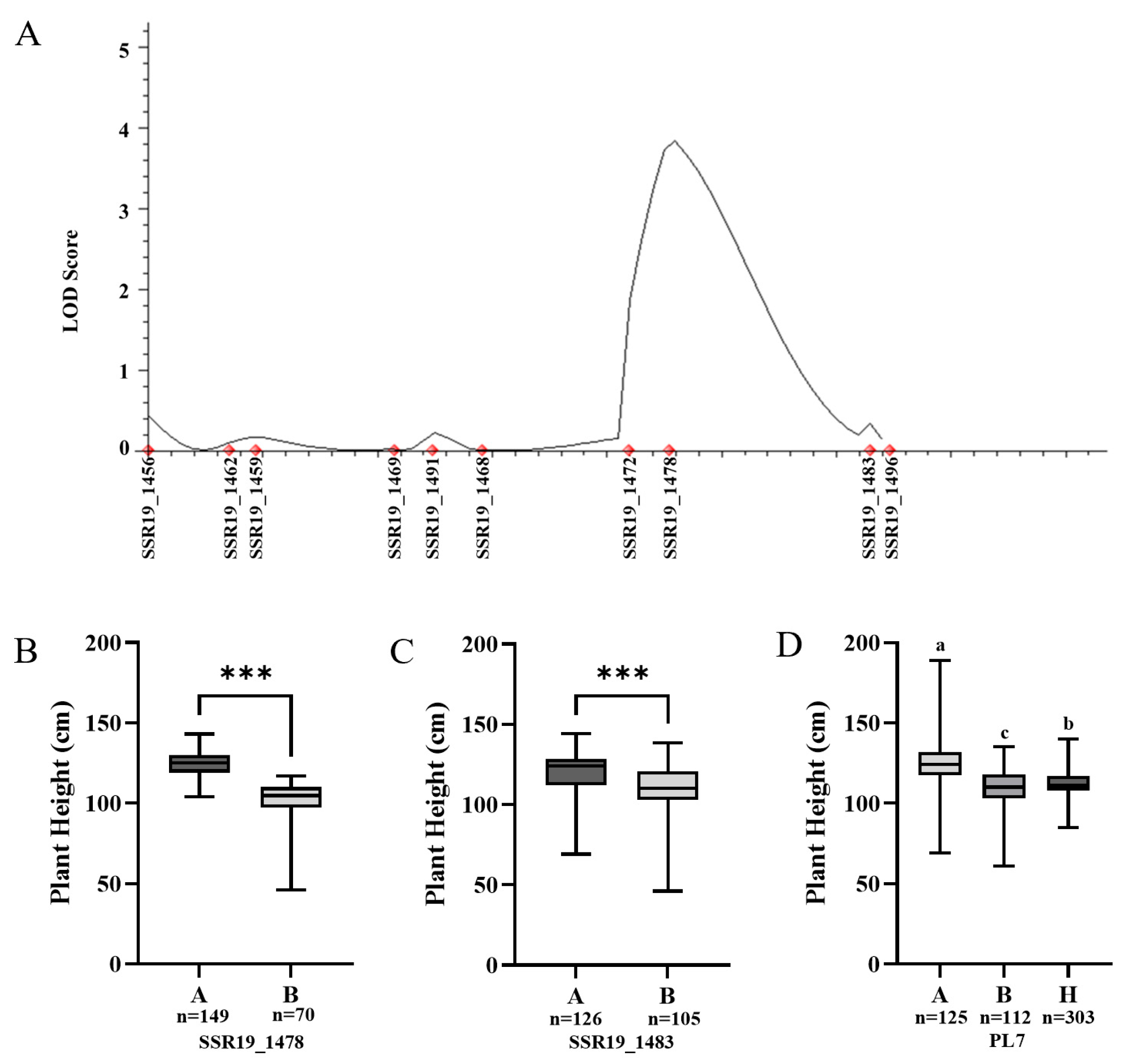 Agronomy 15 01316 g005 Agronomy 15 01316 g005