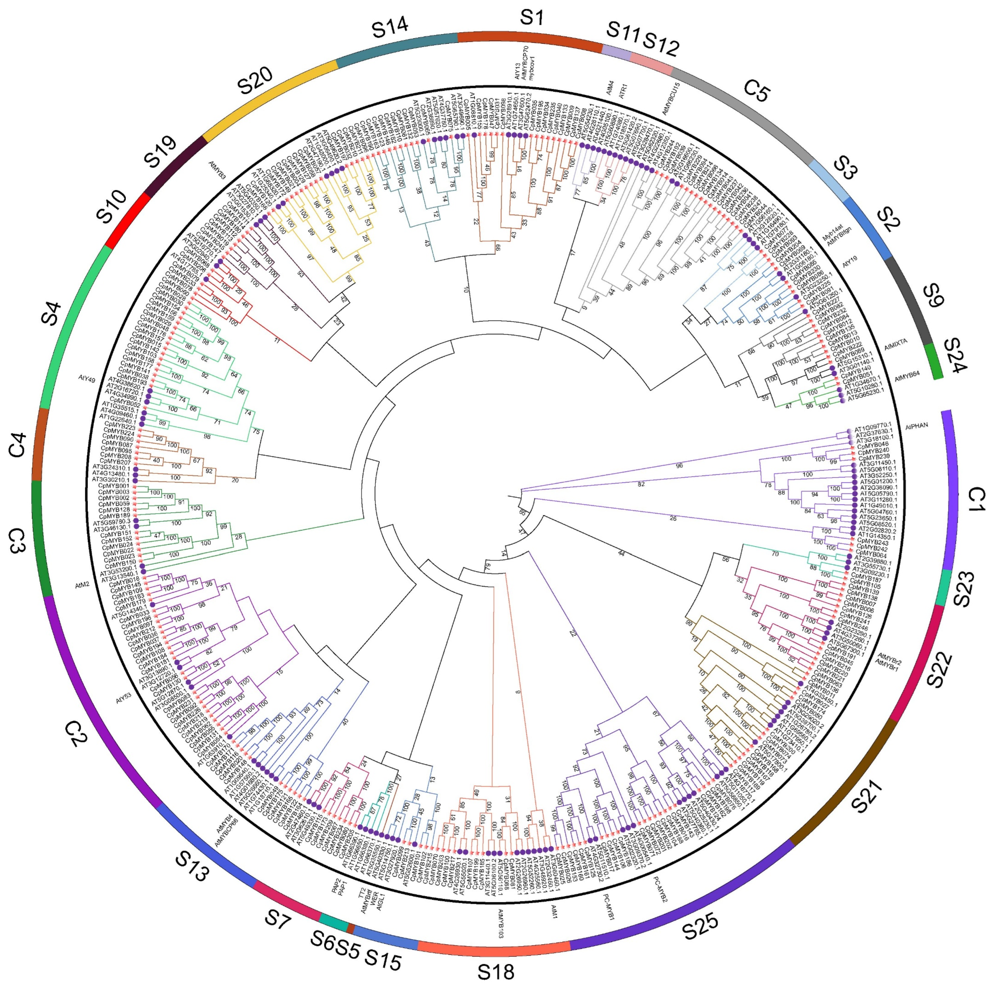 Agronomy 15 01326 g002