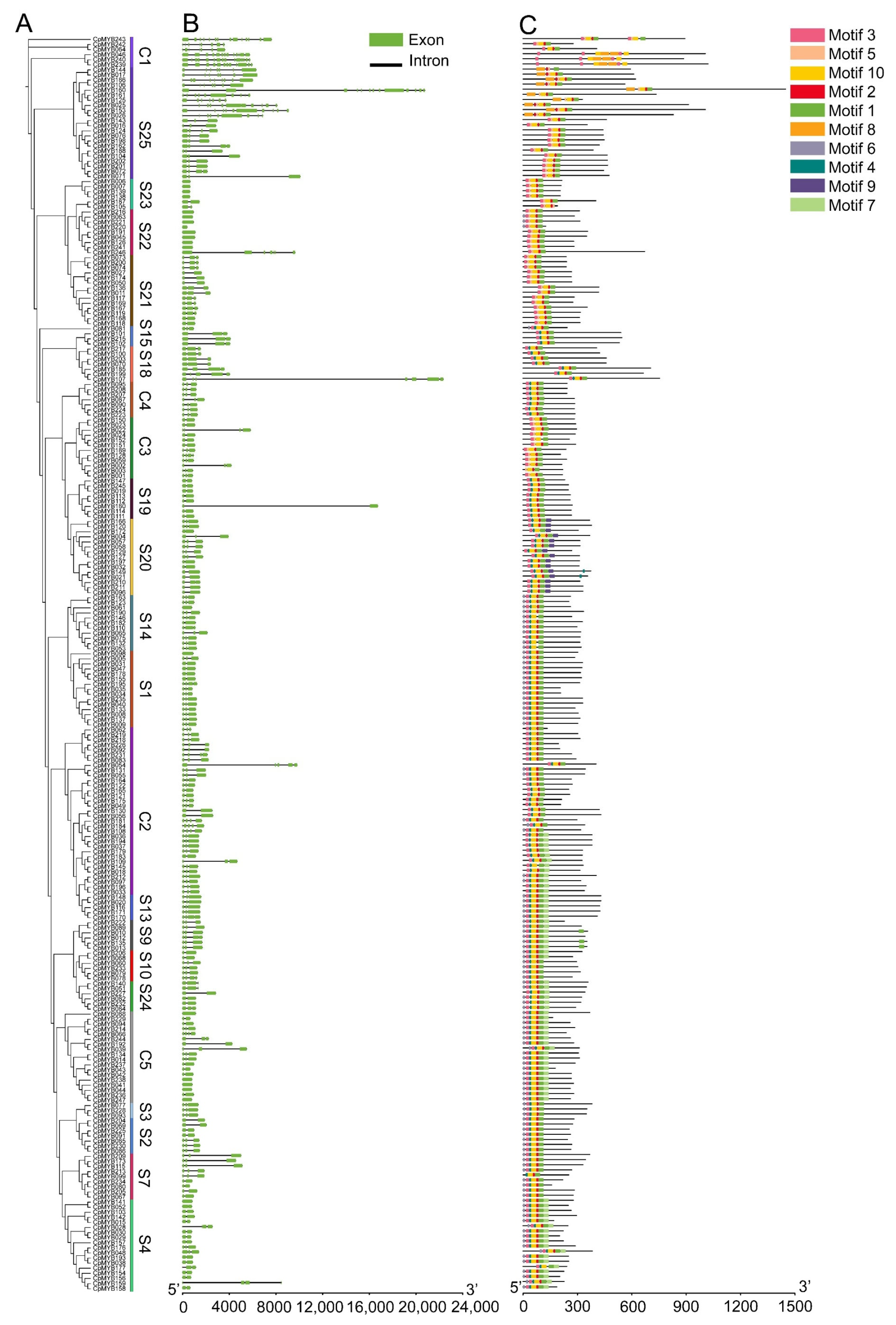 Agronomy 15 01326 g003