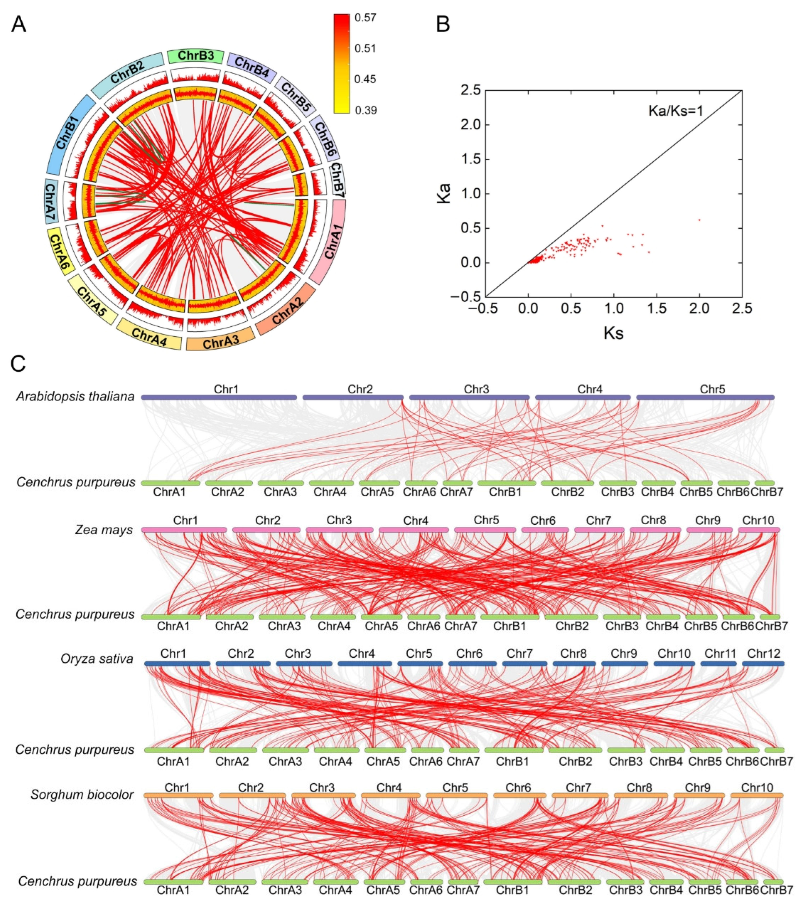 Agronomy 15 01326 g005