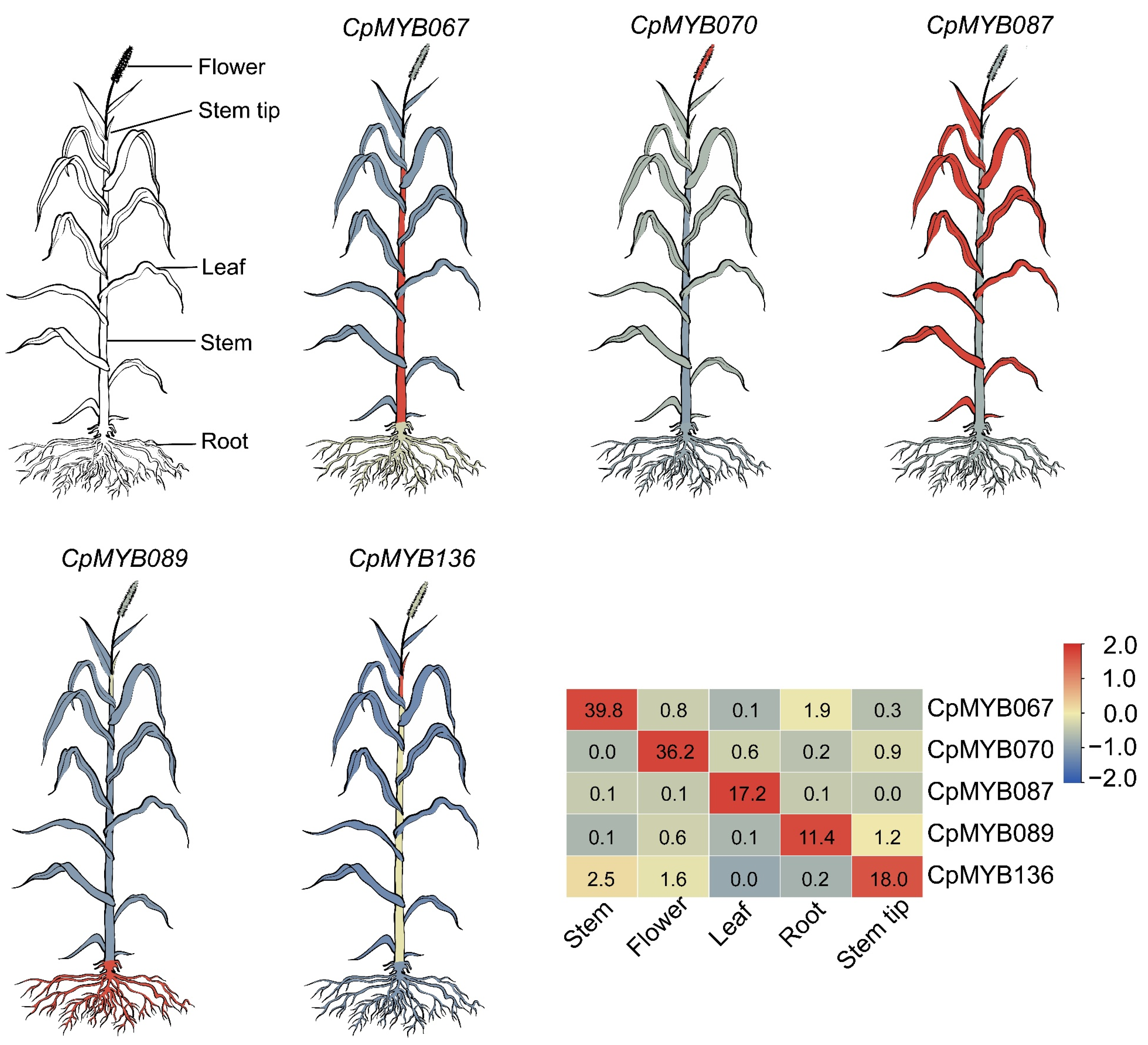 Agronomy 15 01326 g006