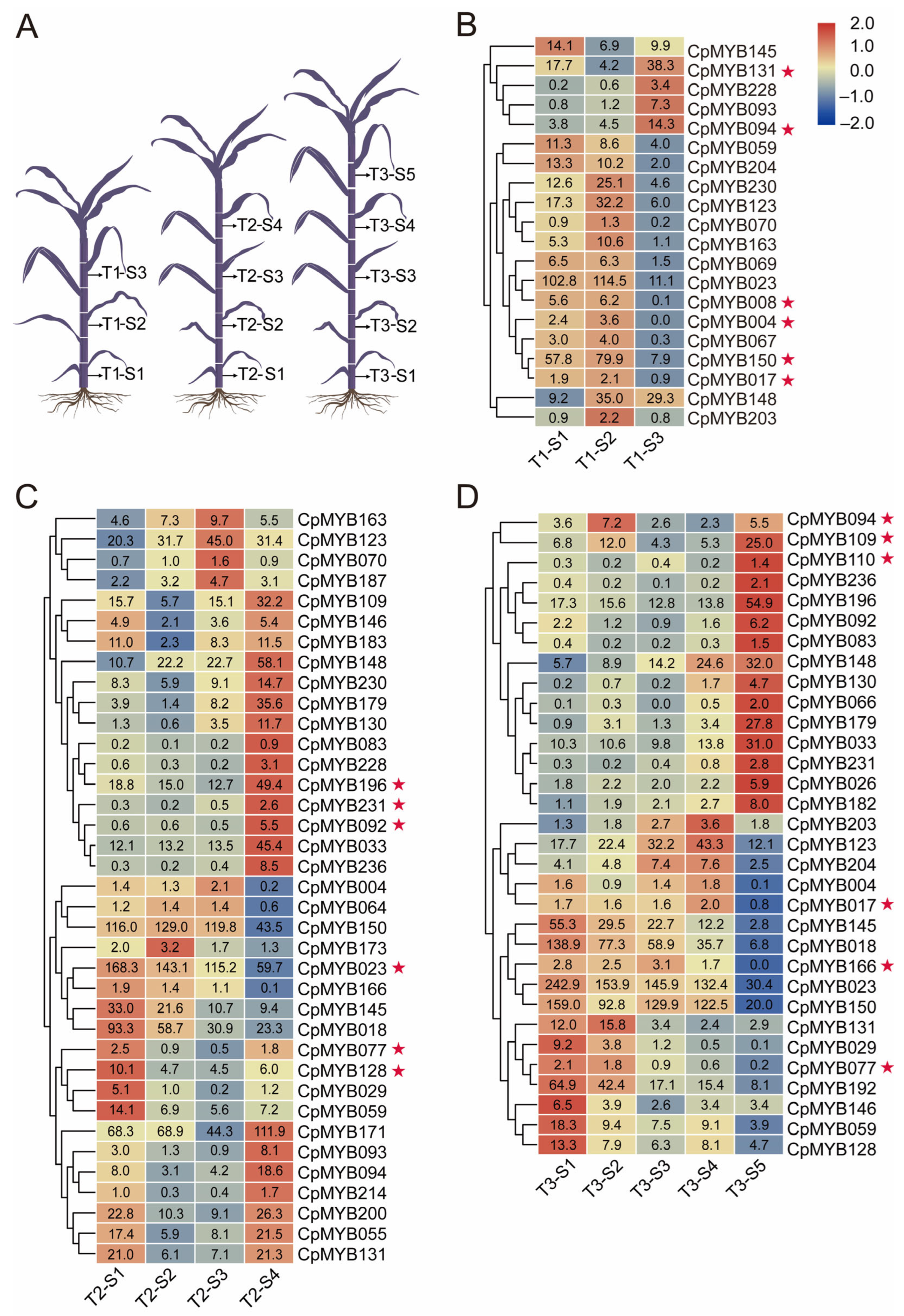 Agronomy 15 01326 g007