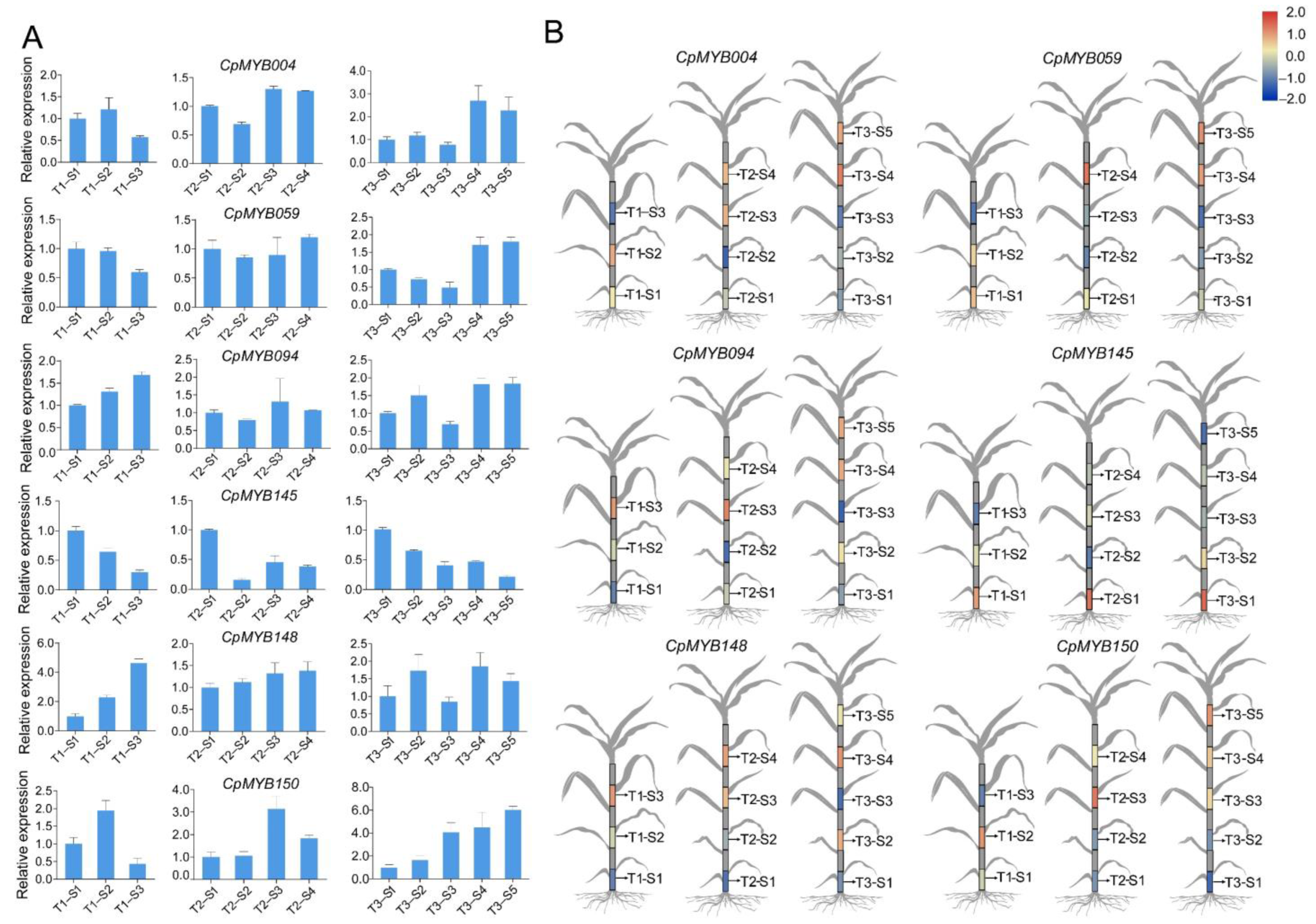 Agronomy 15 01326 g009