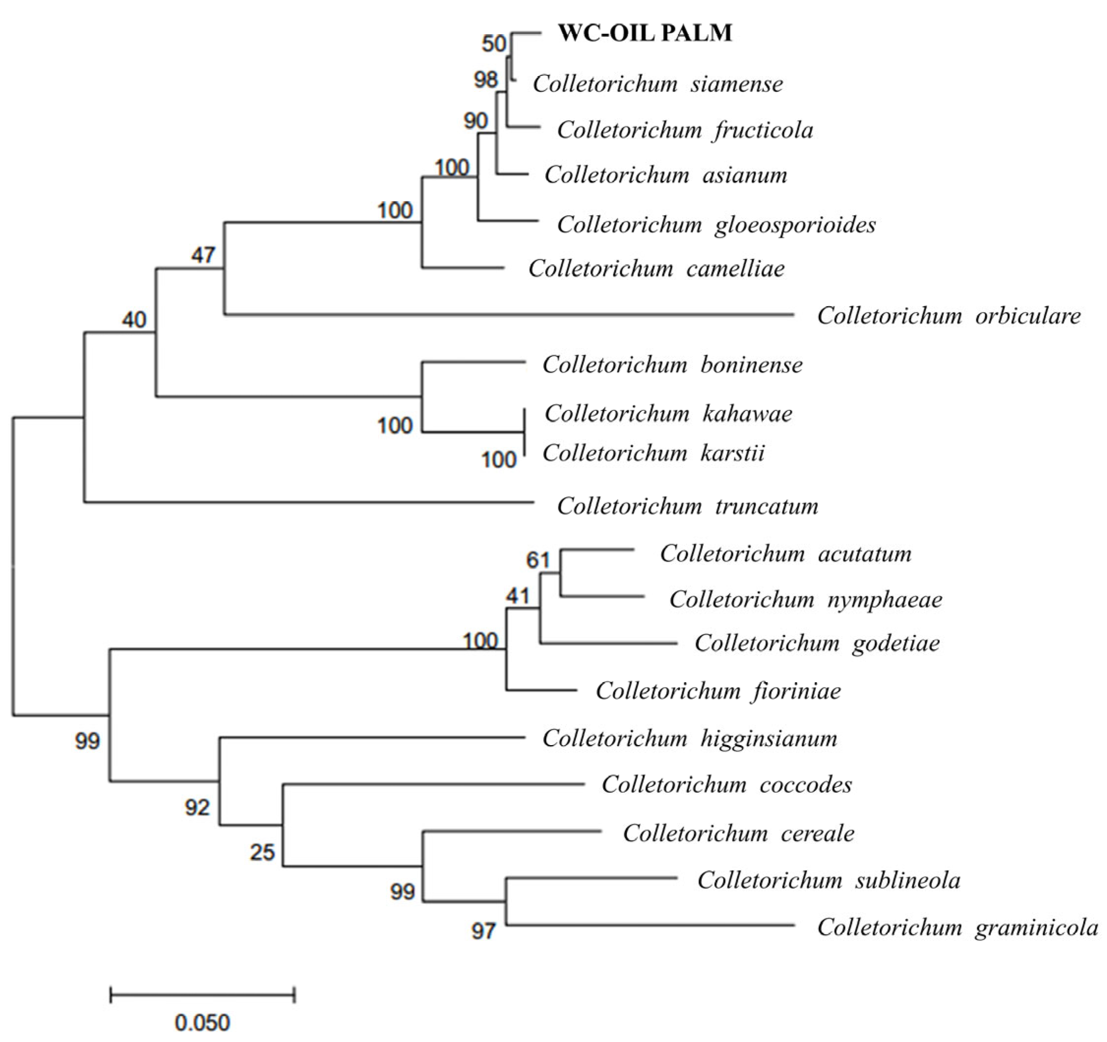 Agronomy 15 01331 g002
