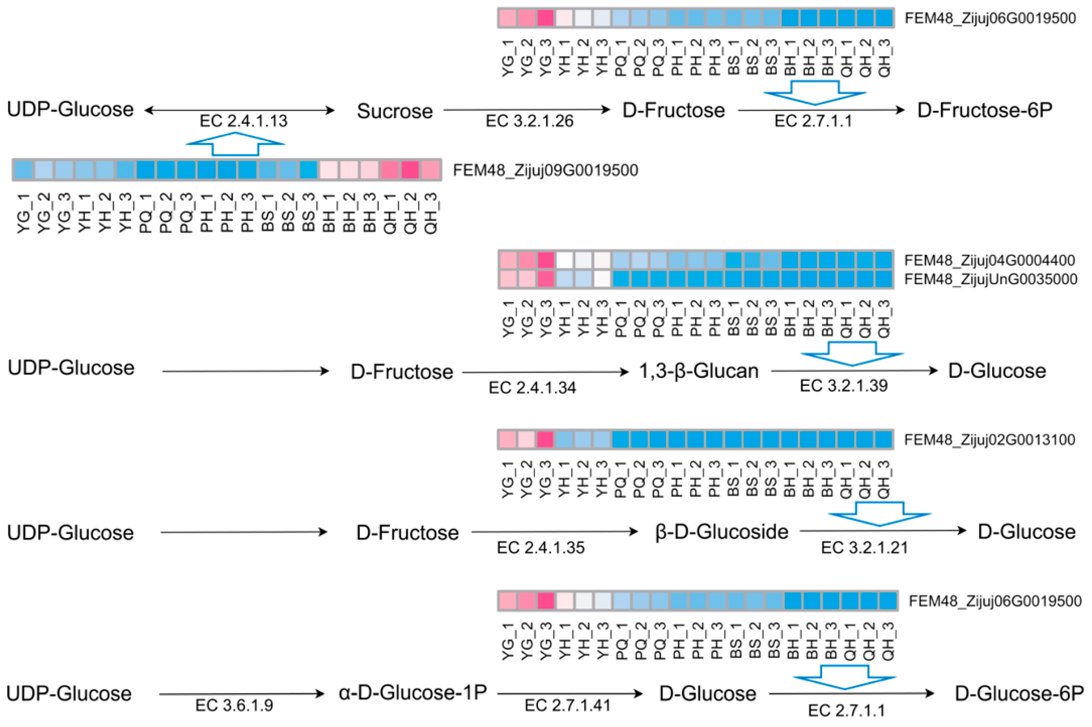 Agronomy 15 01337 g009