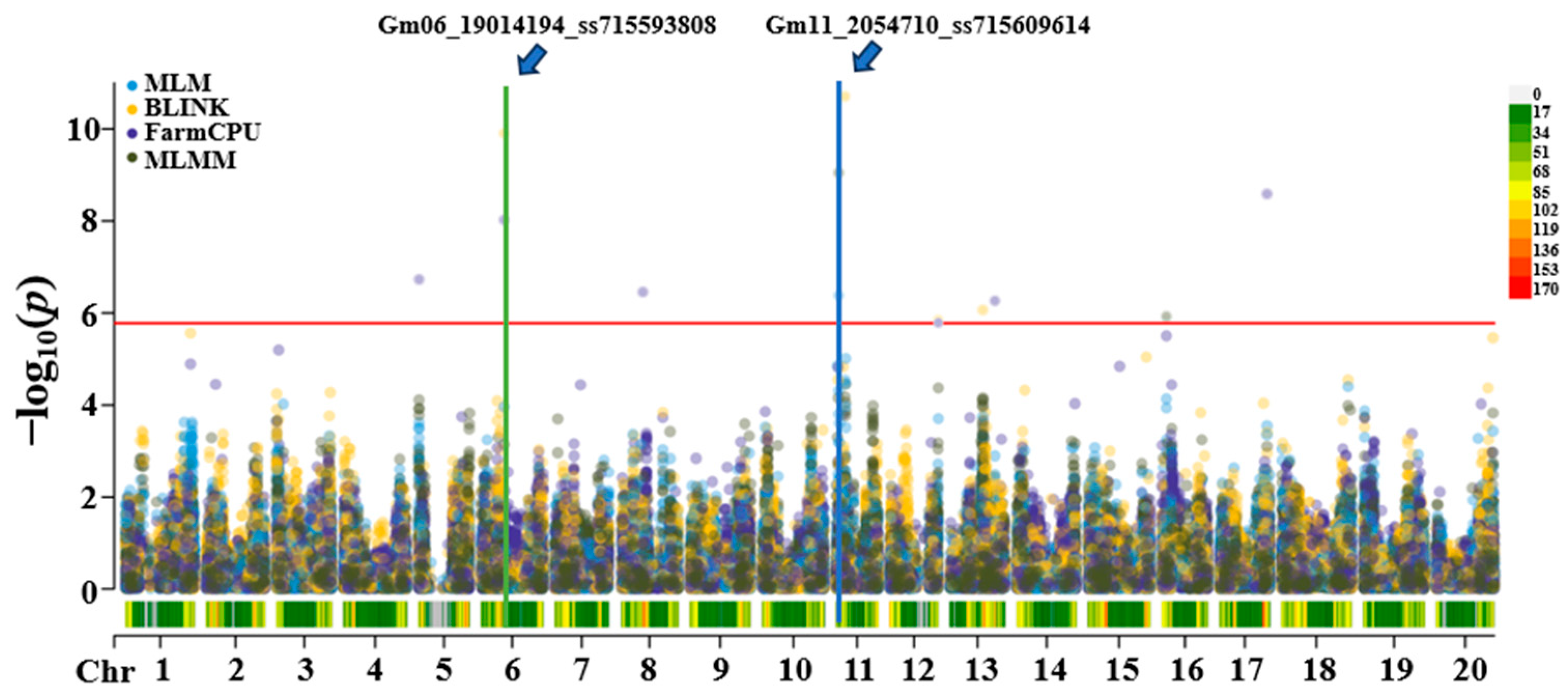 Agronomy 15 01339 g003