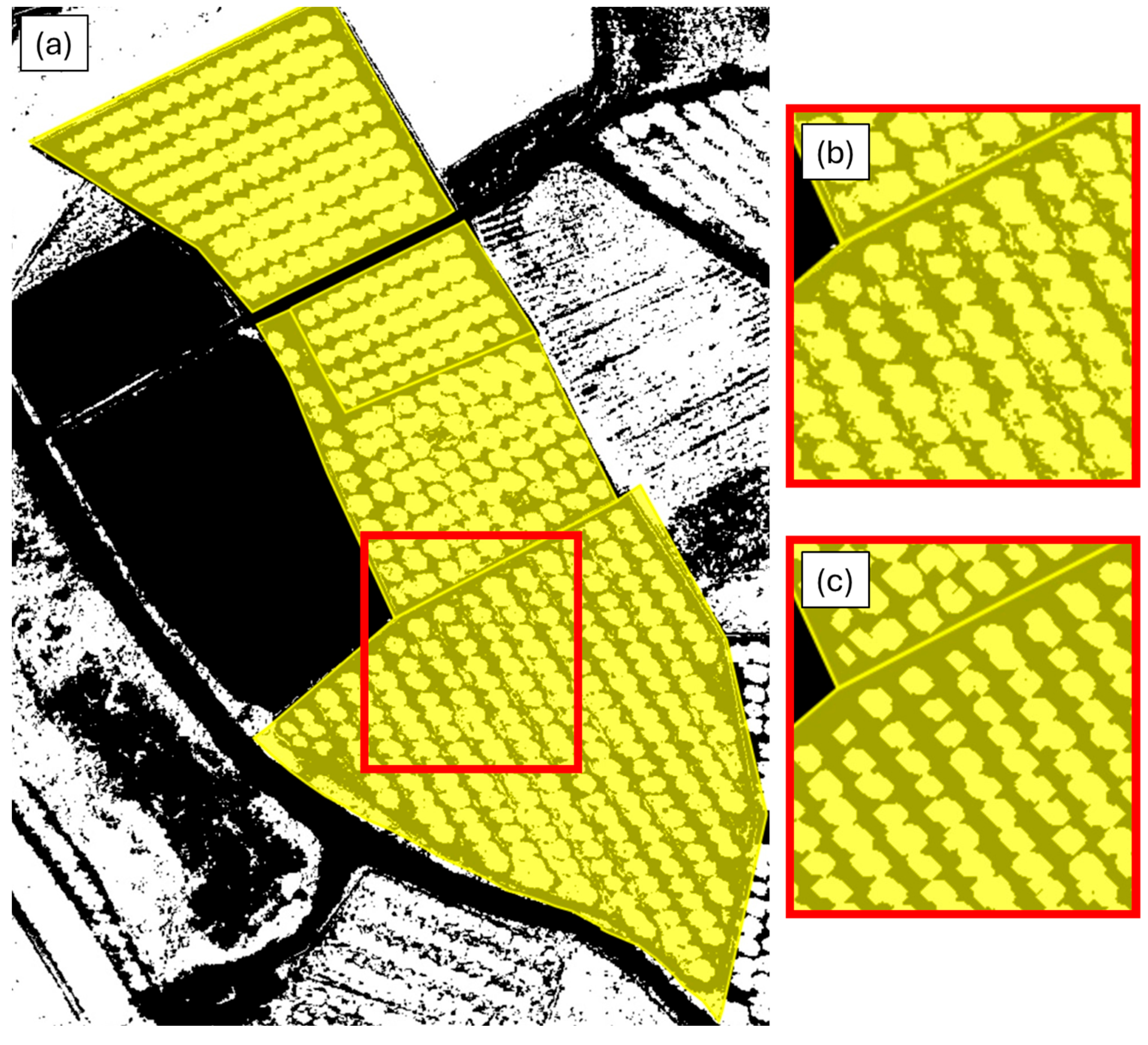 Agronomy 15 01342 g003