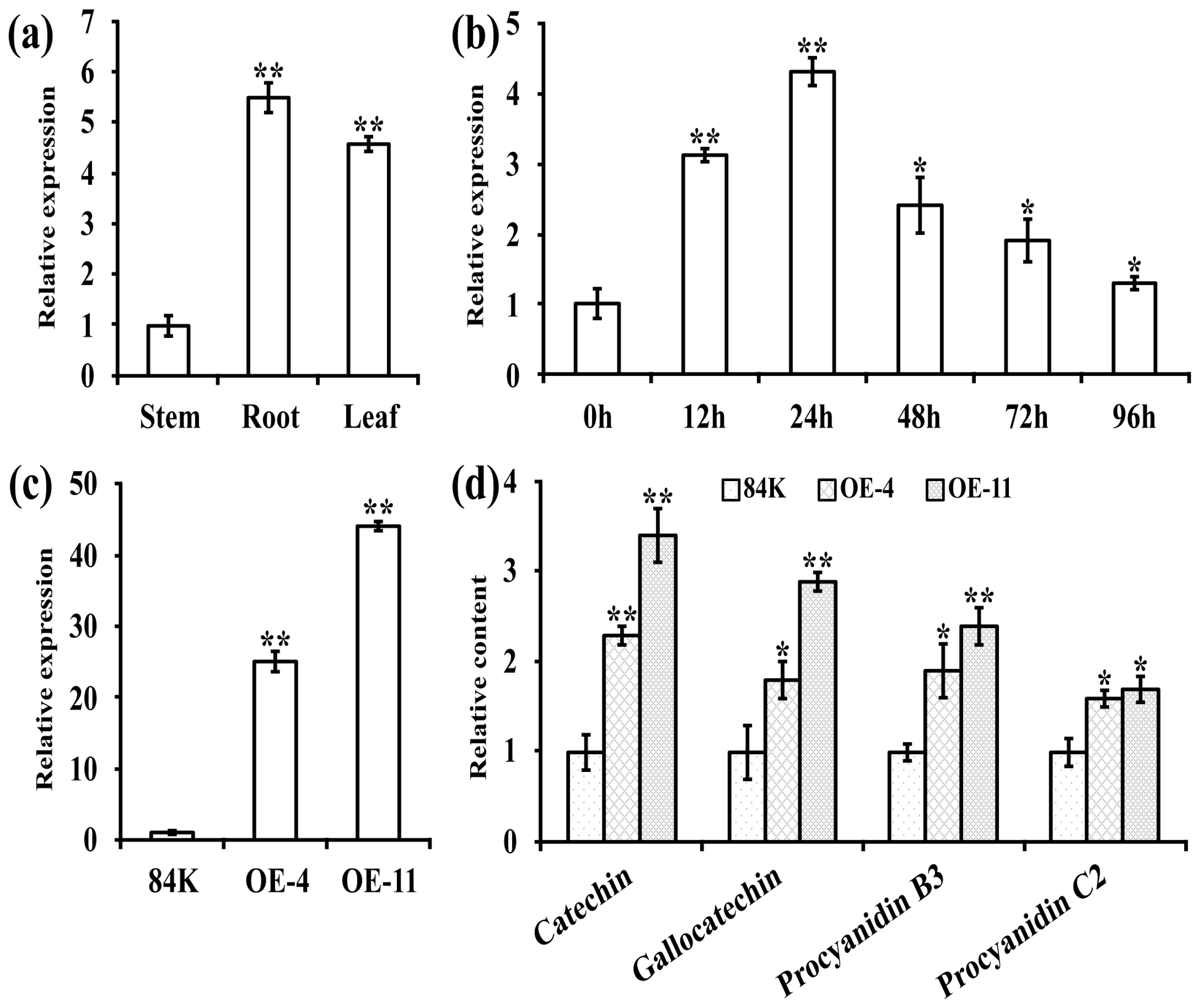 Agronomy 15 01347 g001