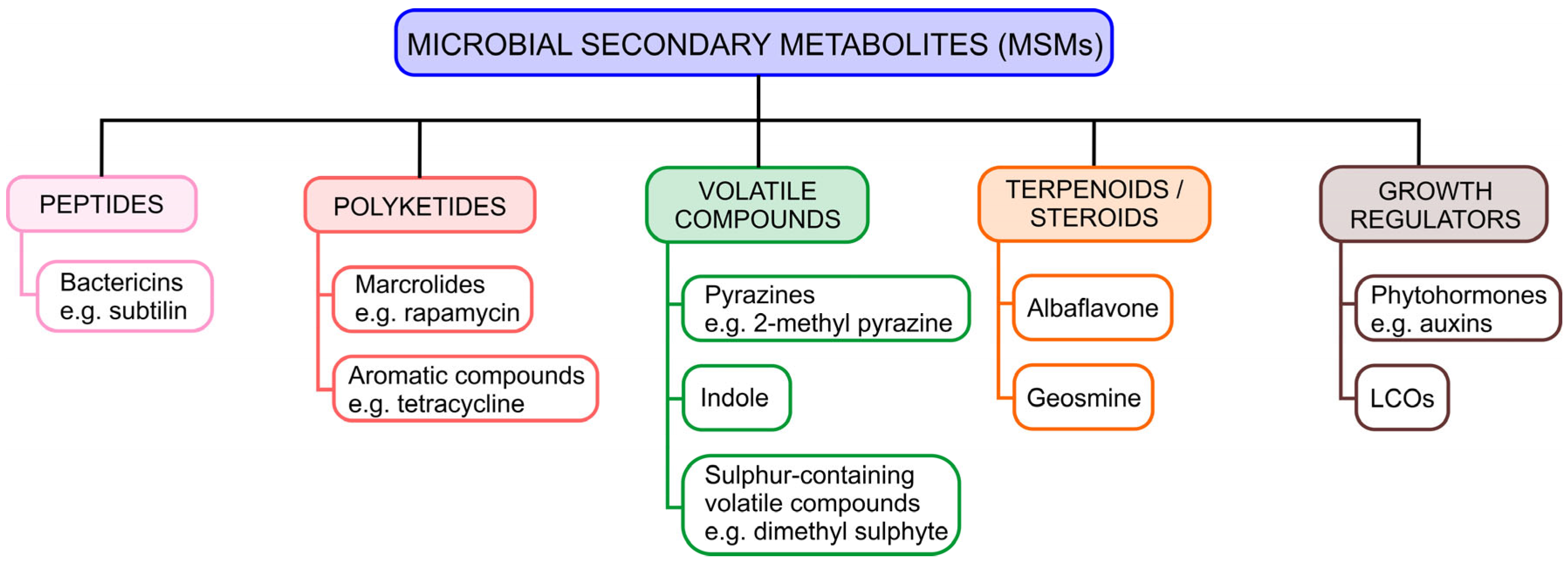 Agronomy 15 01350 g002