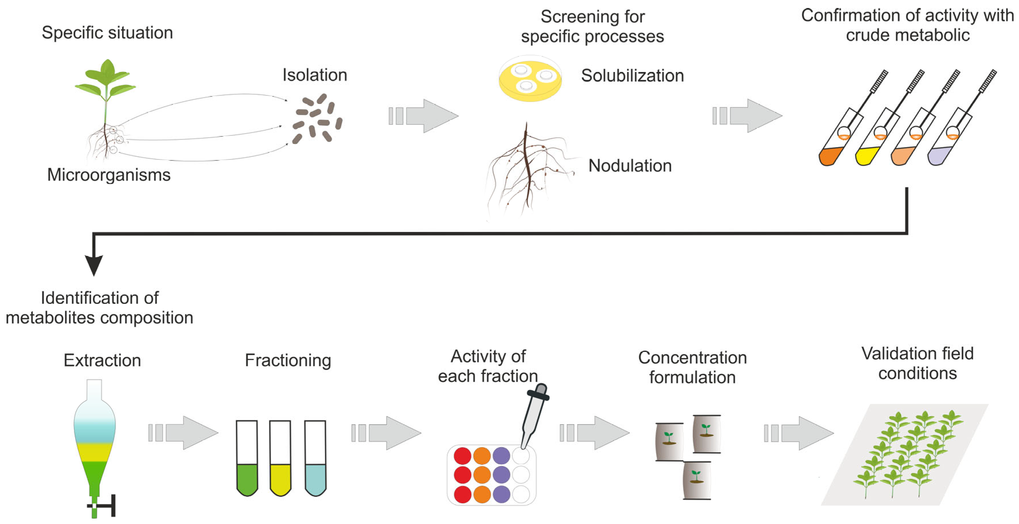 Agronomy 15 01350 g008