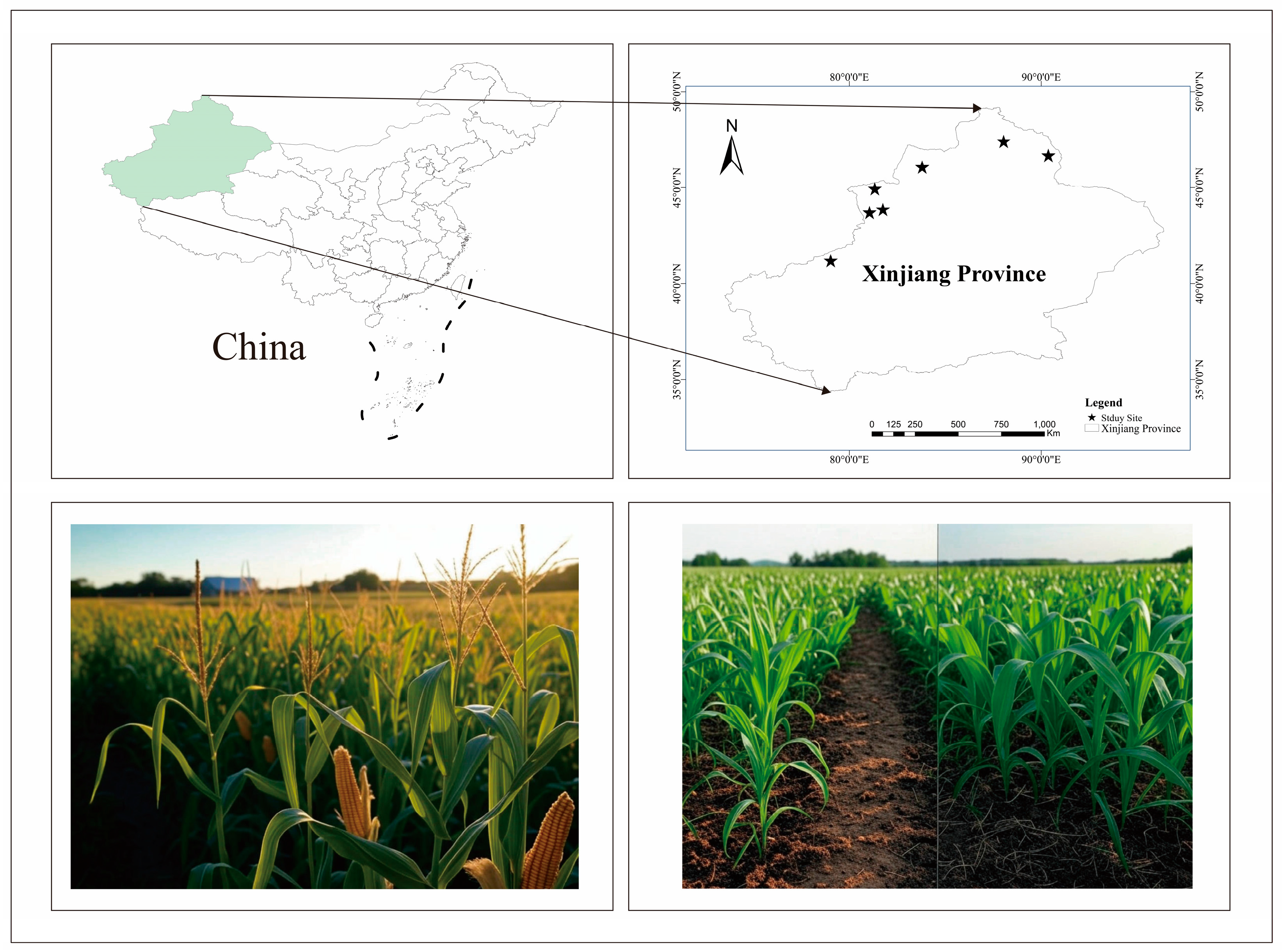 Agronomy 15 01355 g001