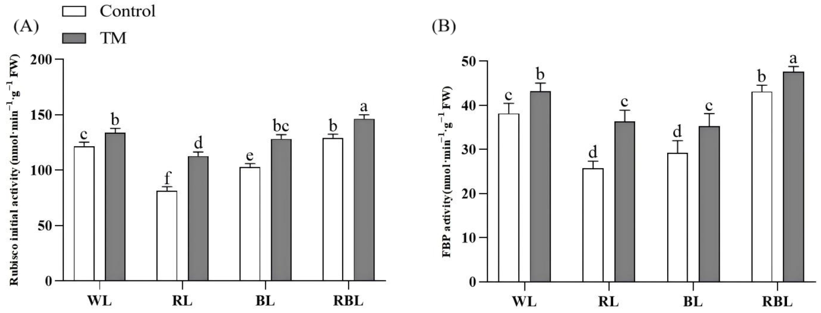 Agronomy 15 01362 g004