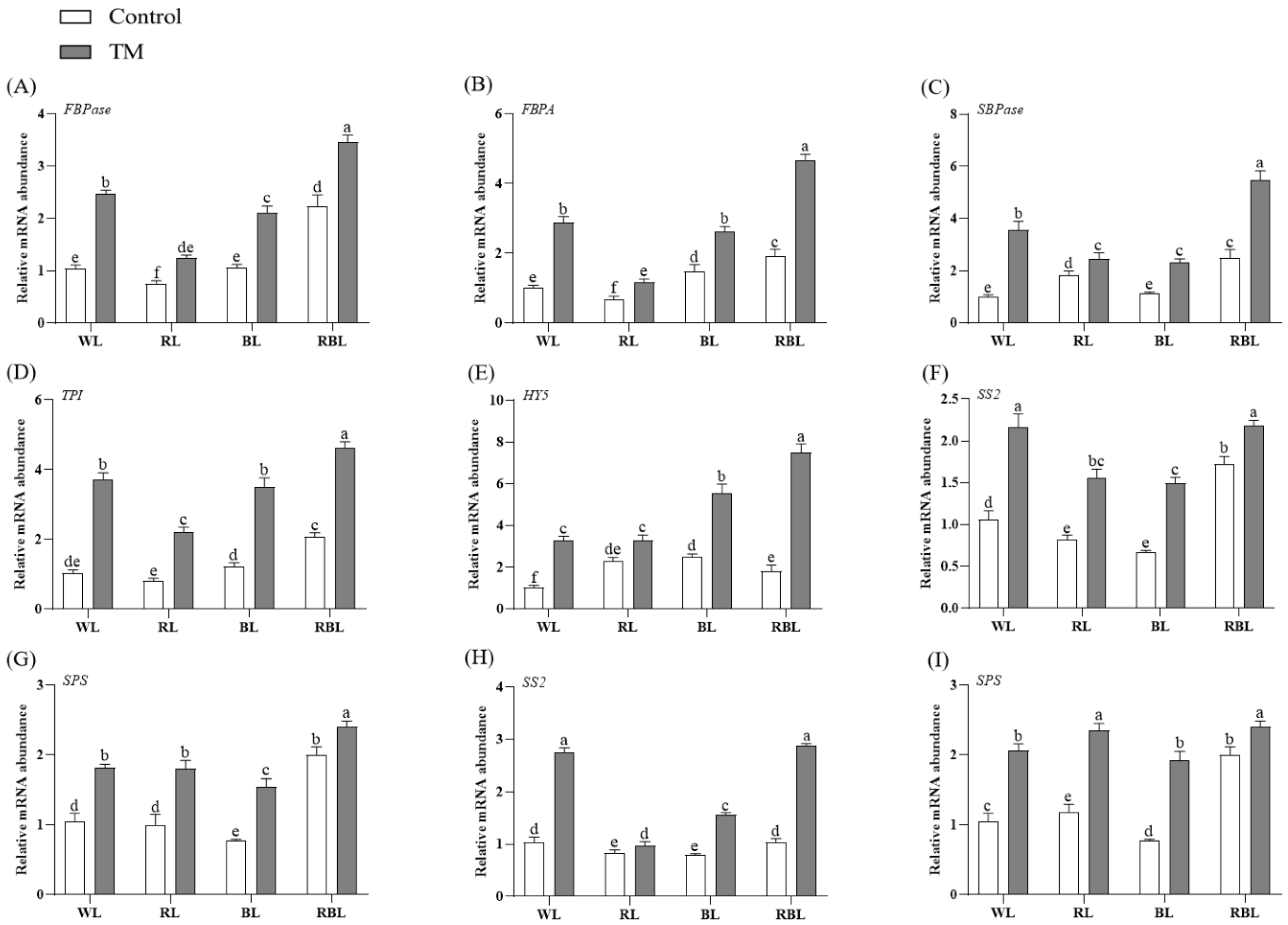 Agronomy 15 01362 g007