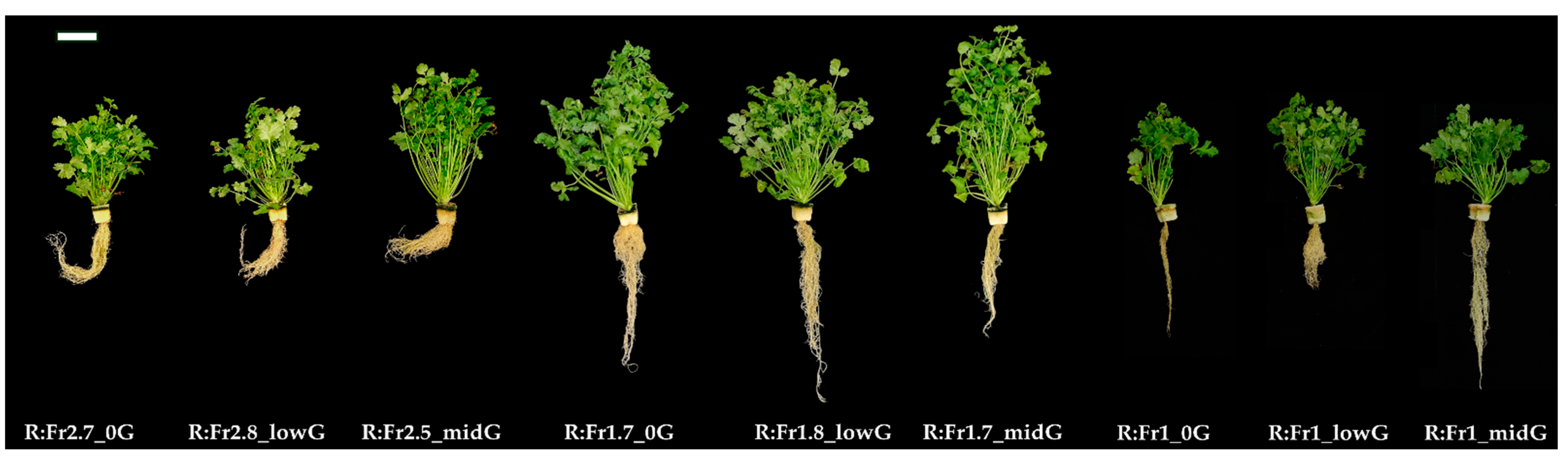 Agronomy 15 01363 g002
