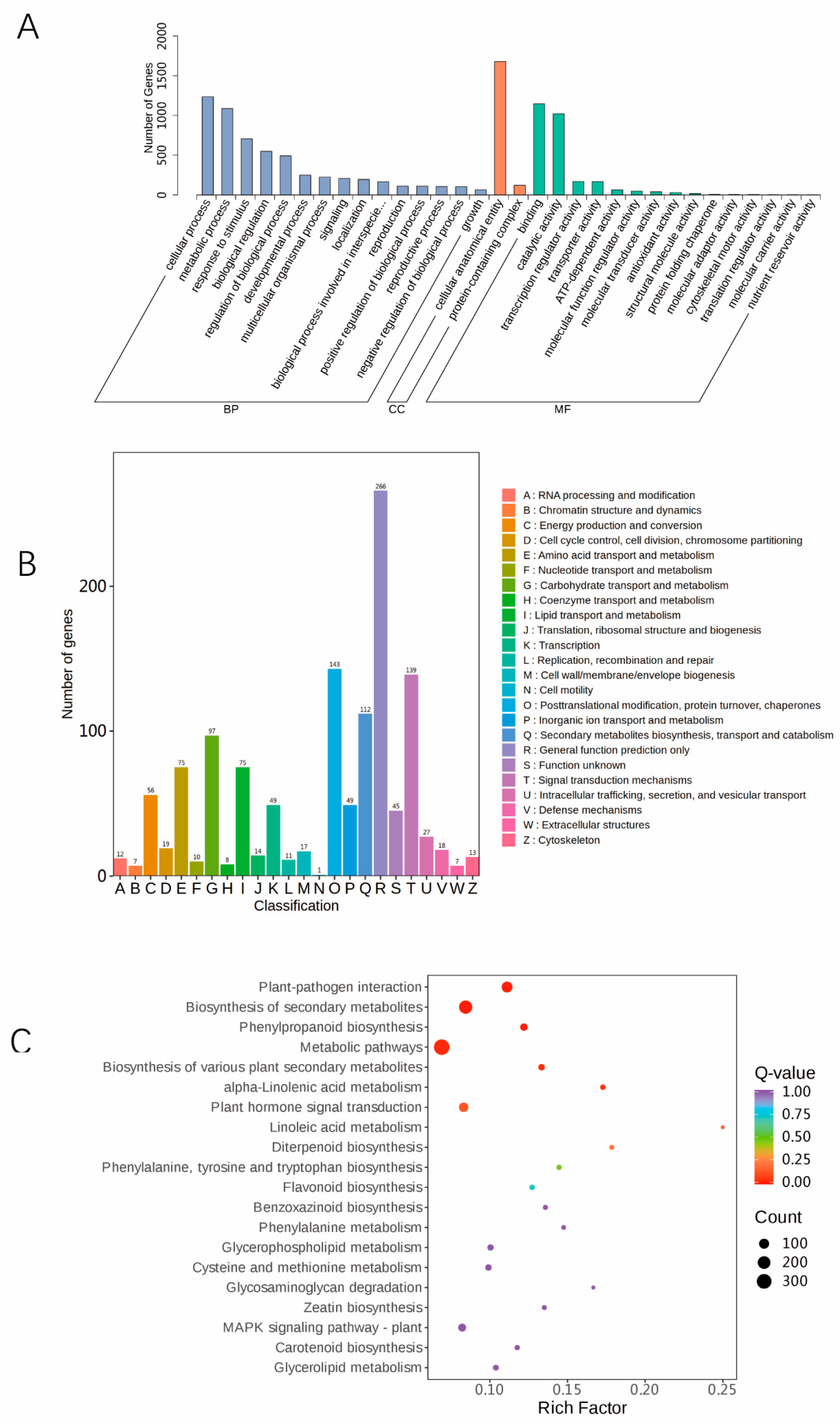 Agronomy 15 01364 g005