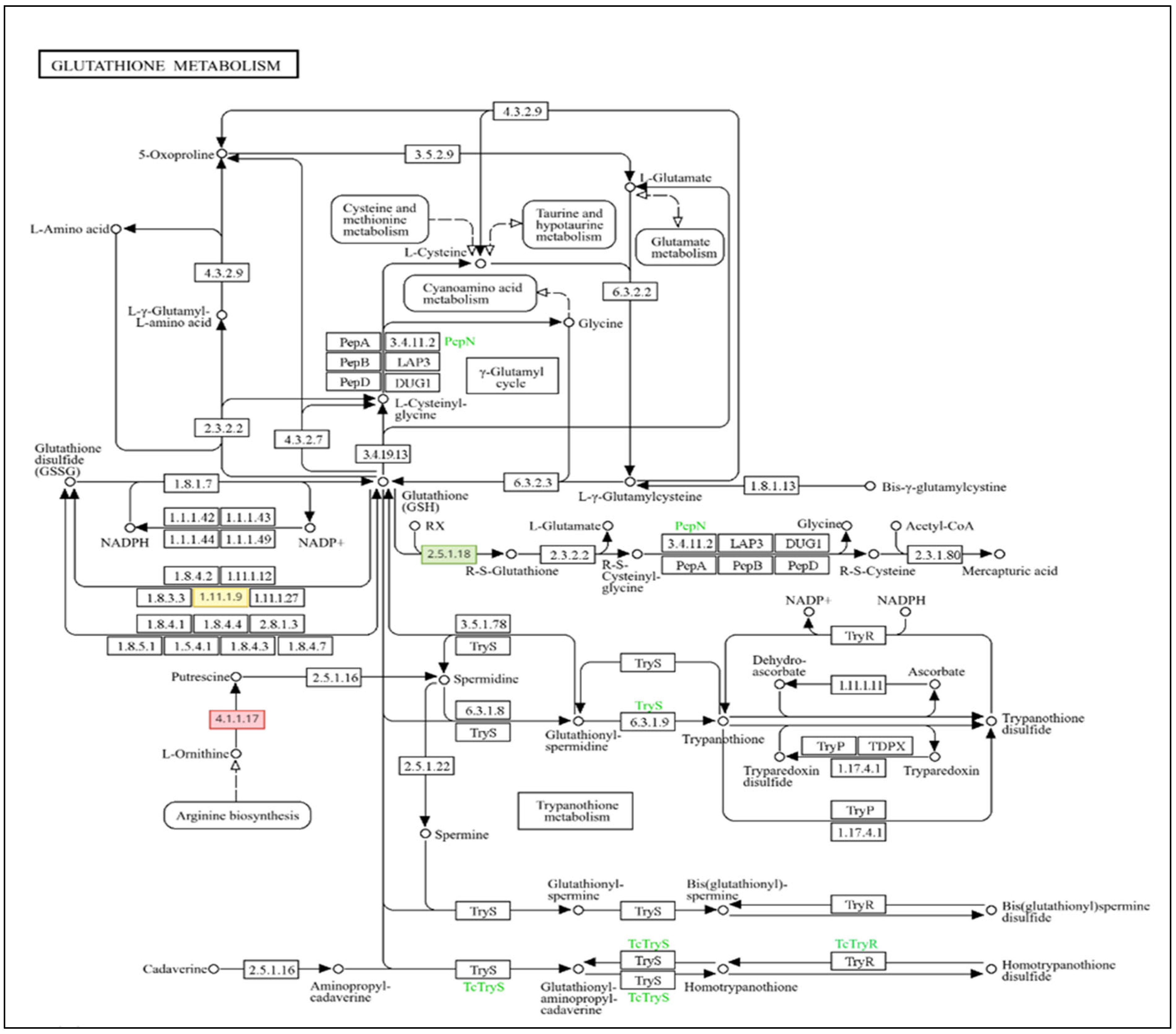 Agronomy 15 01365 g002