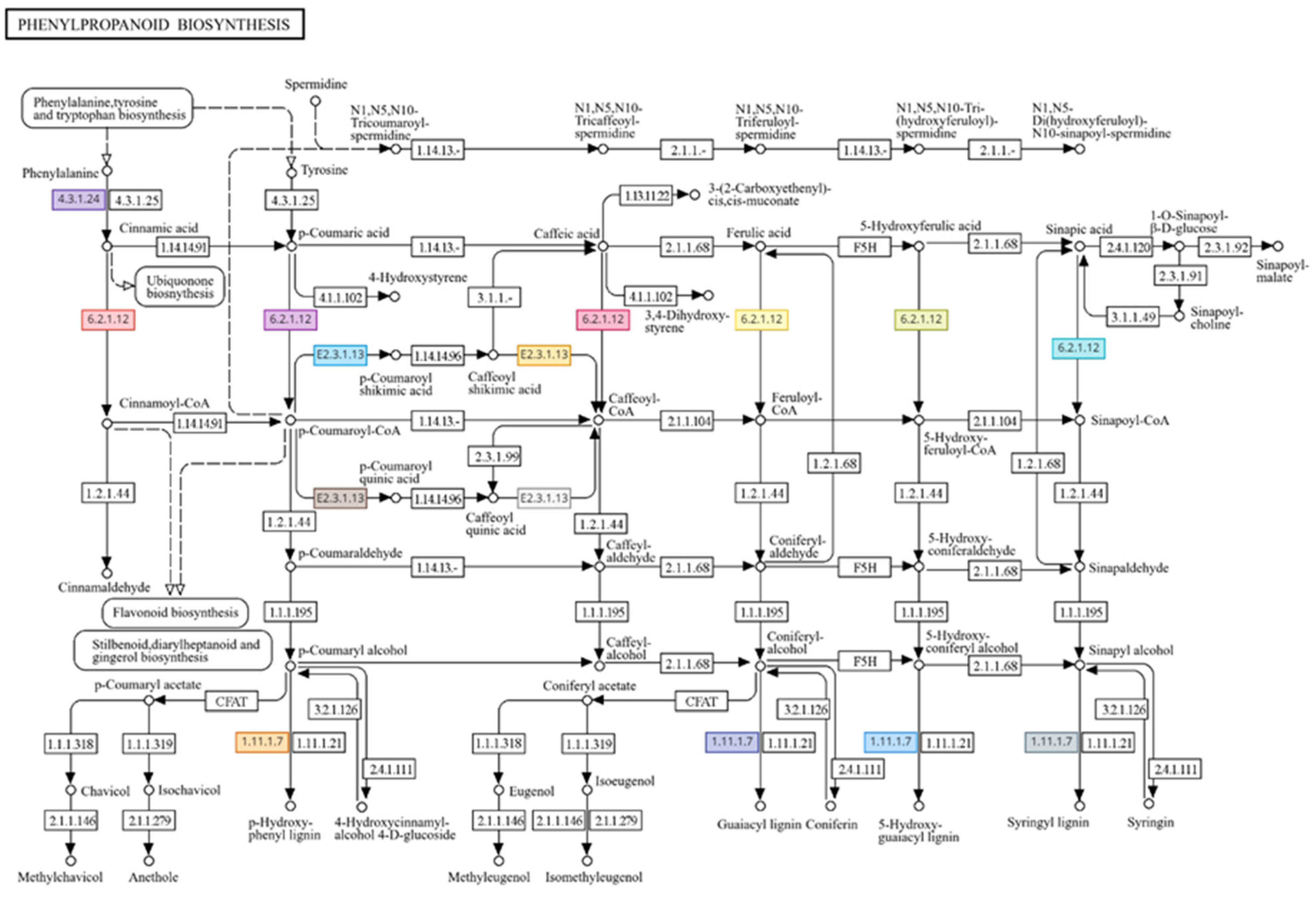 Agronomy 15 01365 g003