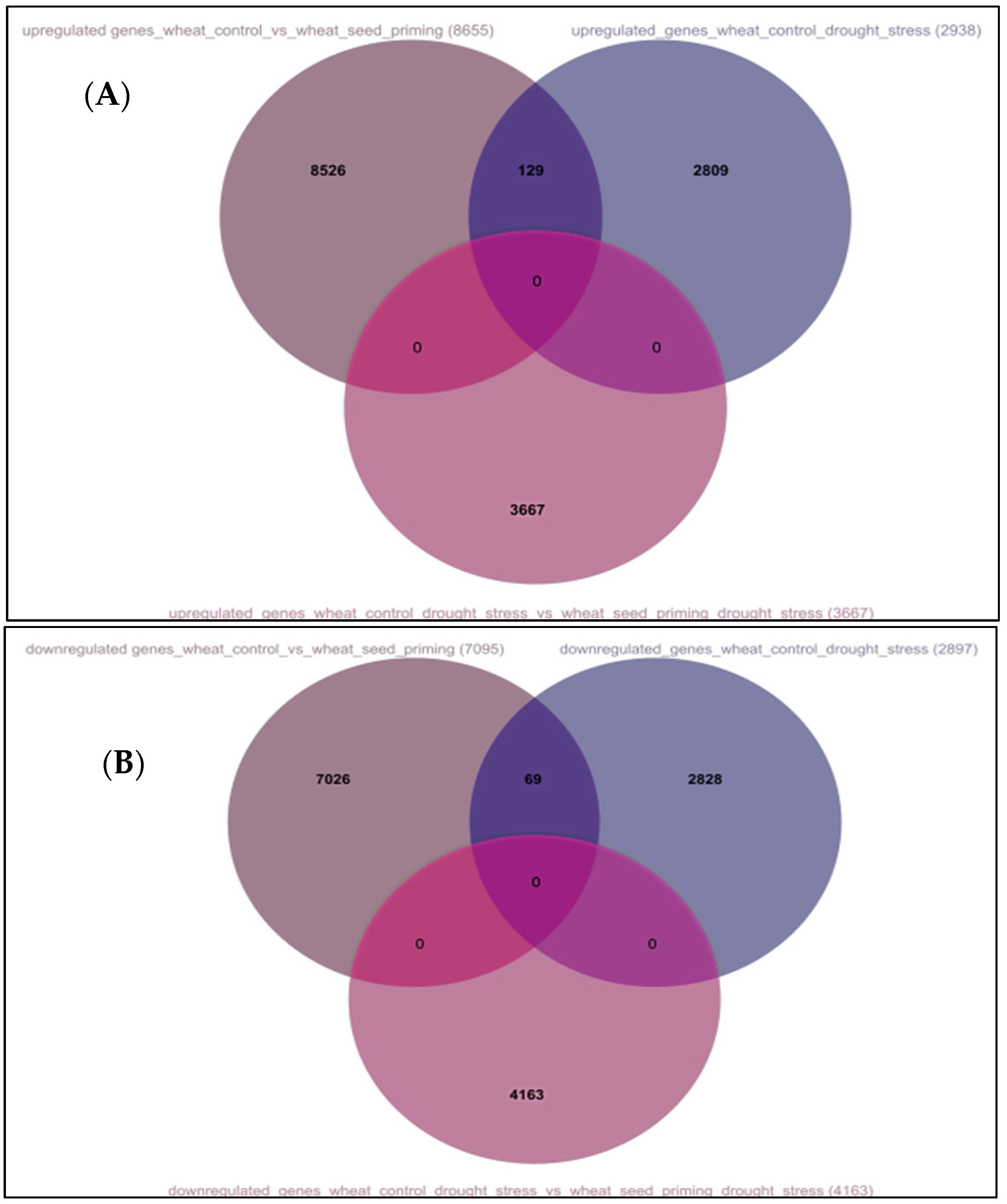 Agronomy 15 01365 g004