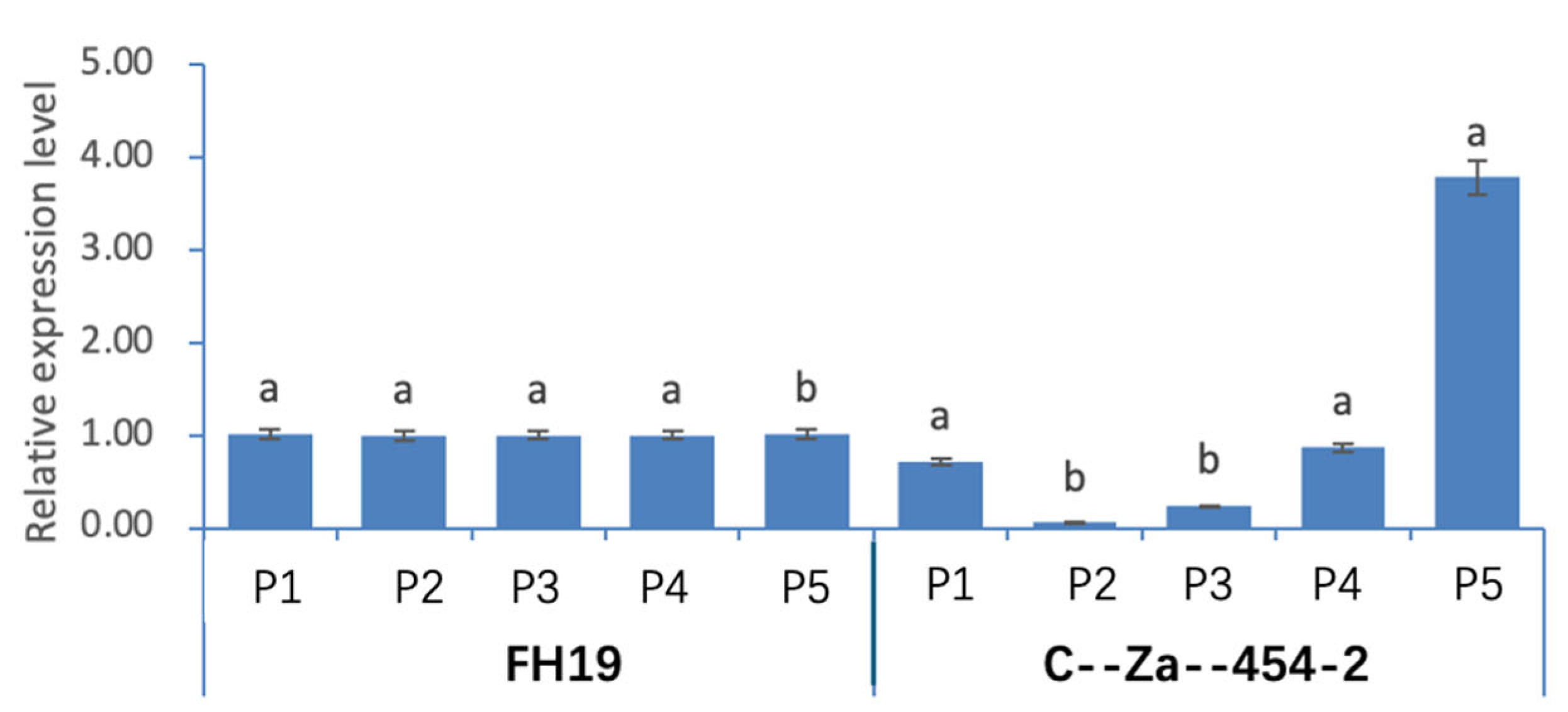 Agronomy 15 01368 g008