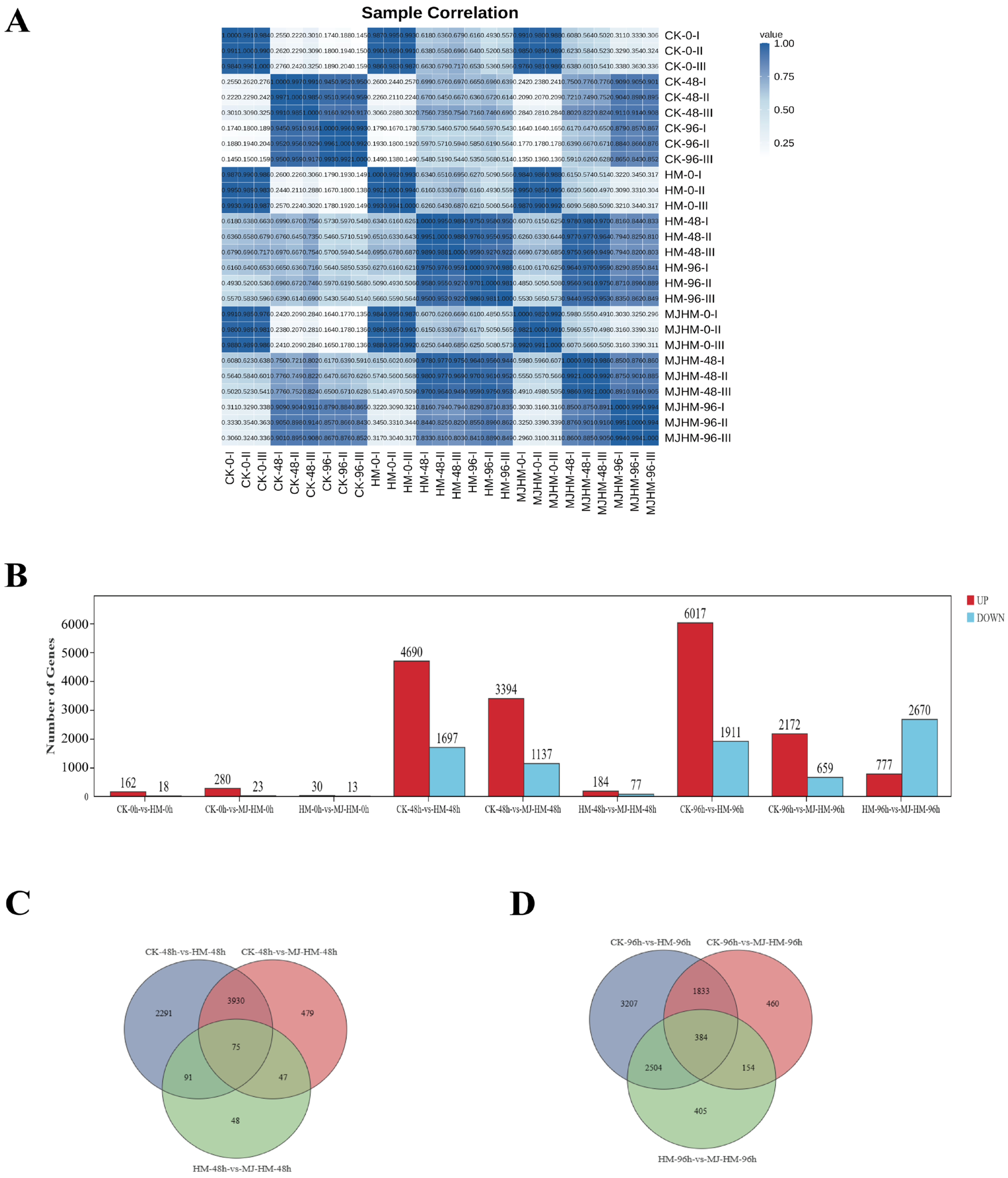 Agronomy 15 01369 g003