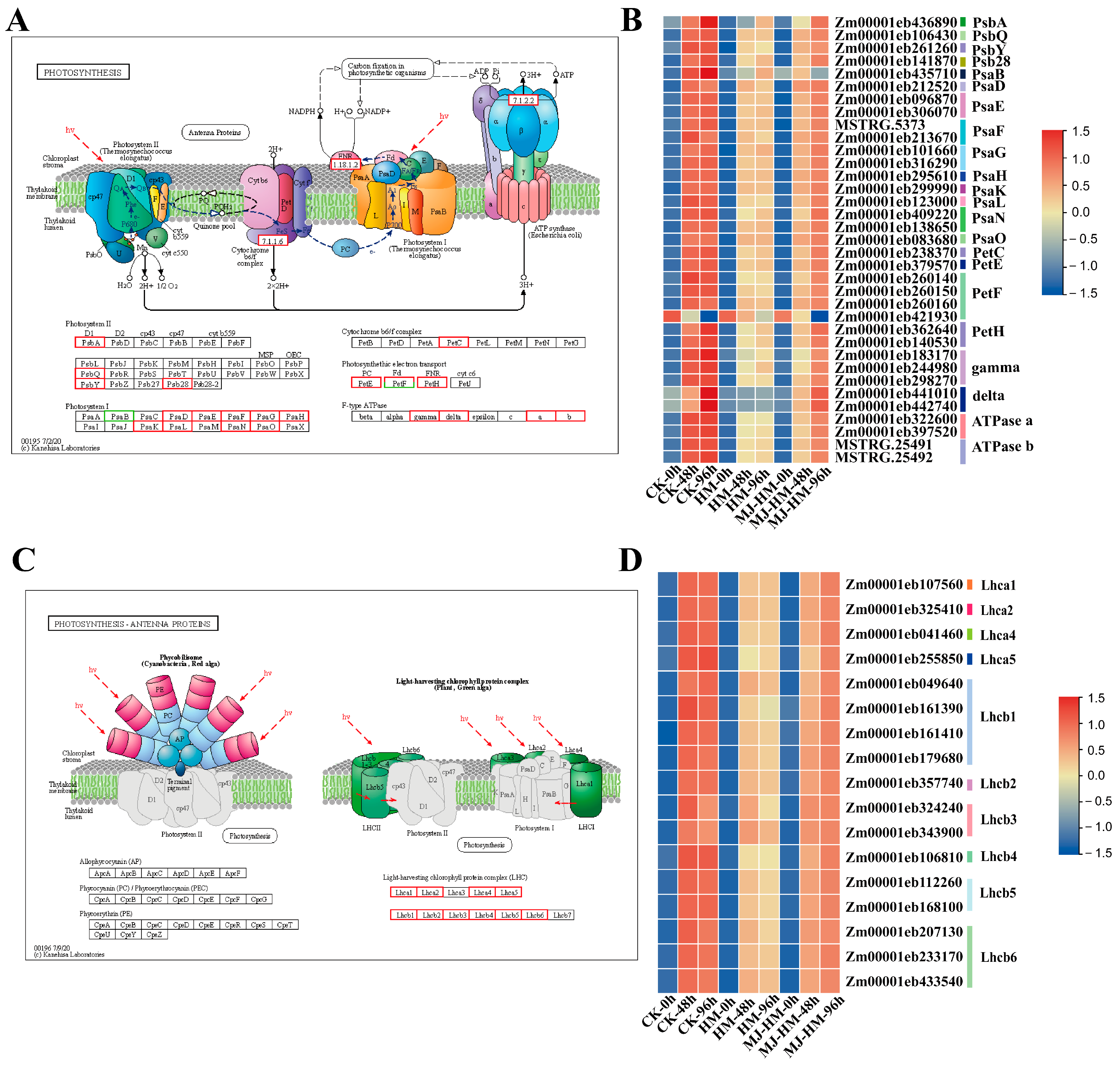 Agronomy 15 01369 g006