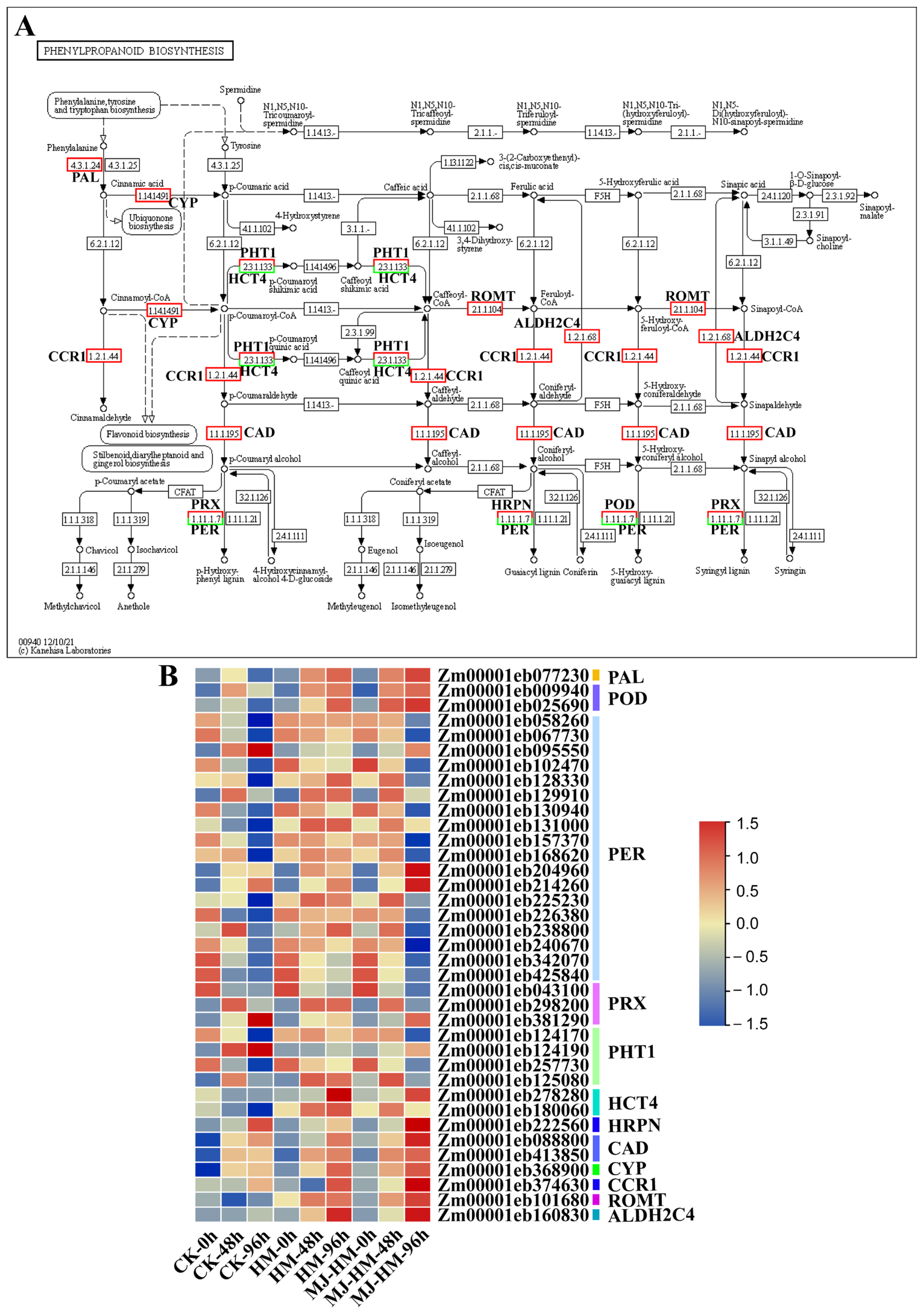 Agronomy 15 01369 g007