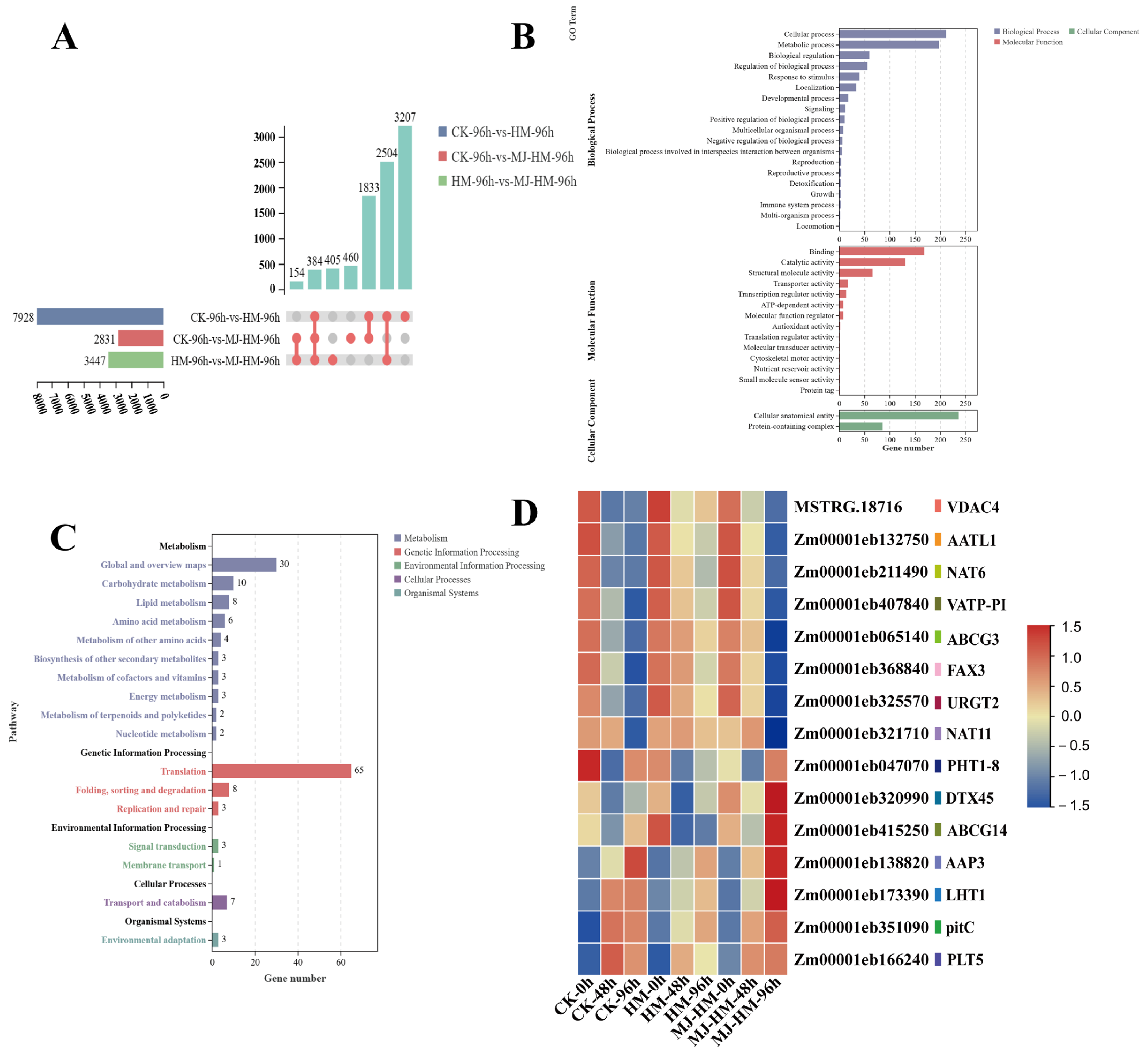 Agronomy 15 01369 g009