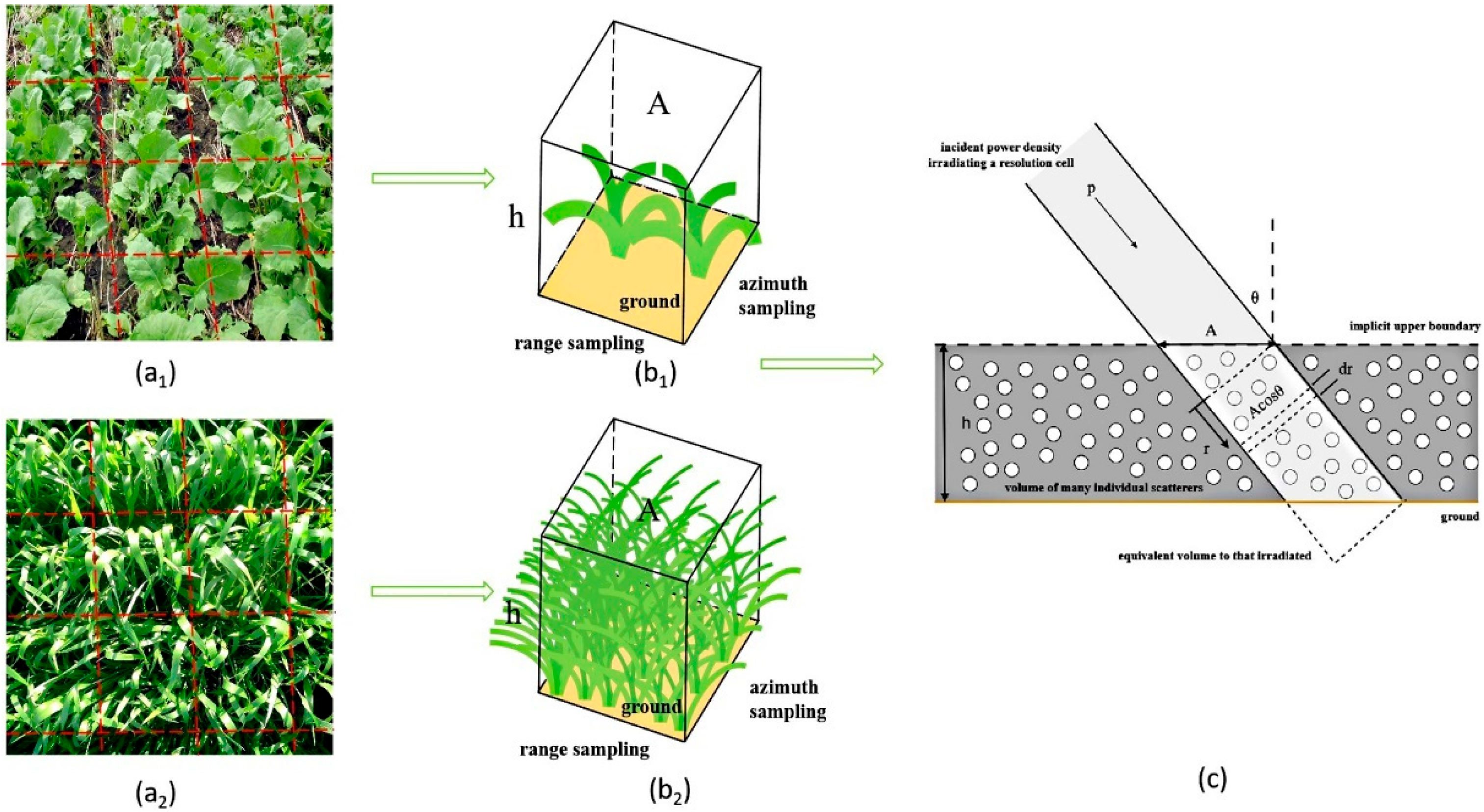 Agronomy 15 01374 g005