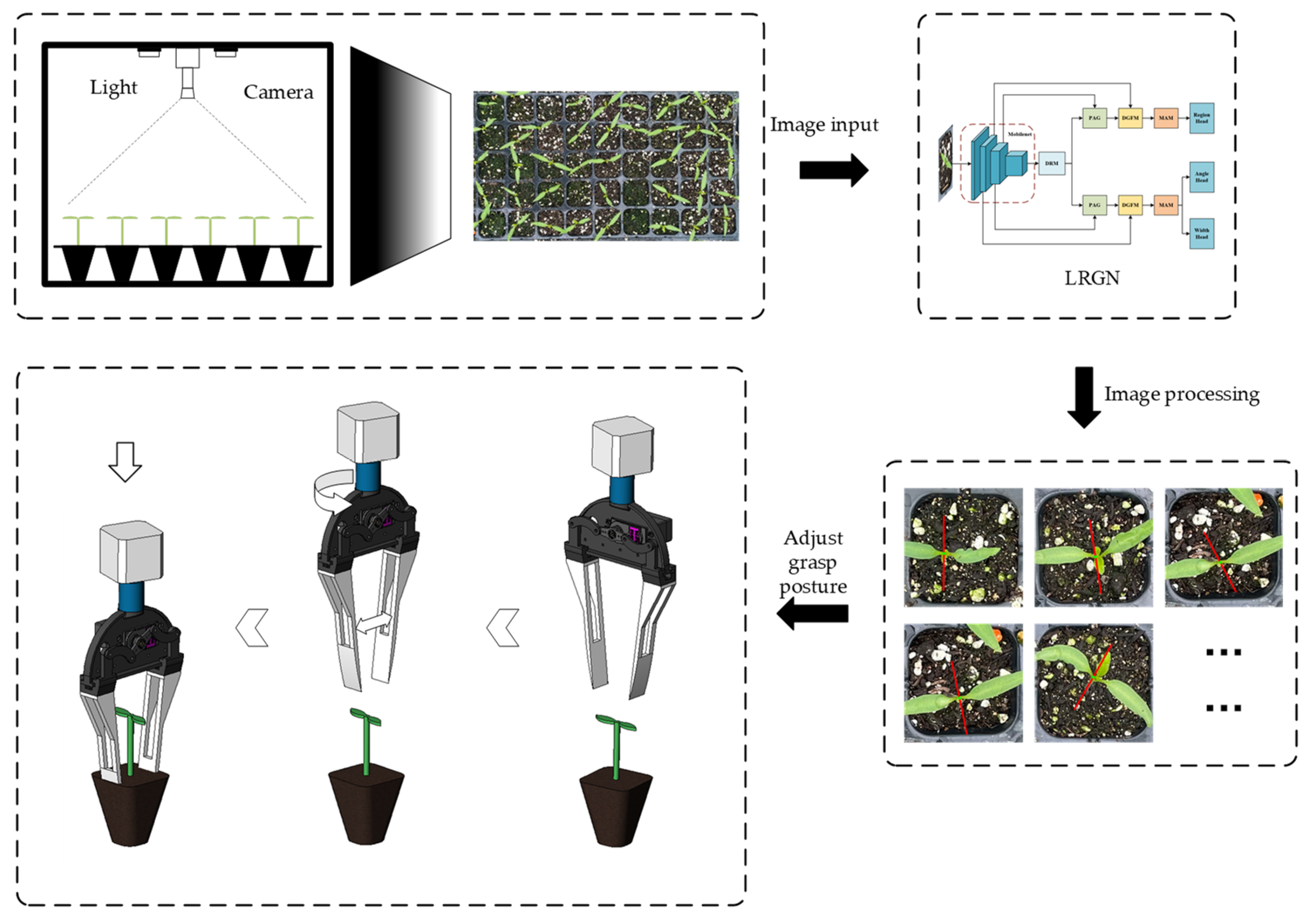 Agronomy 15 01376 g002
