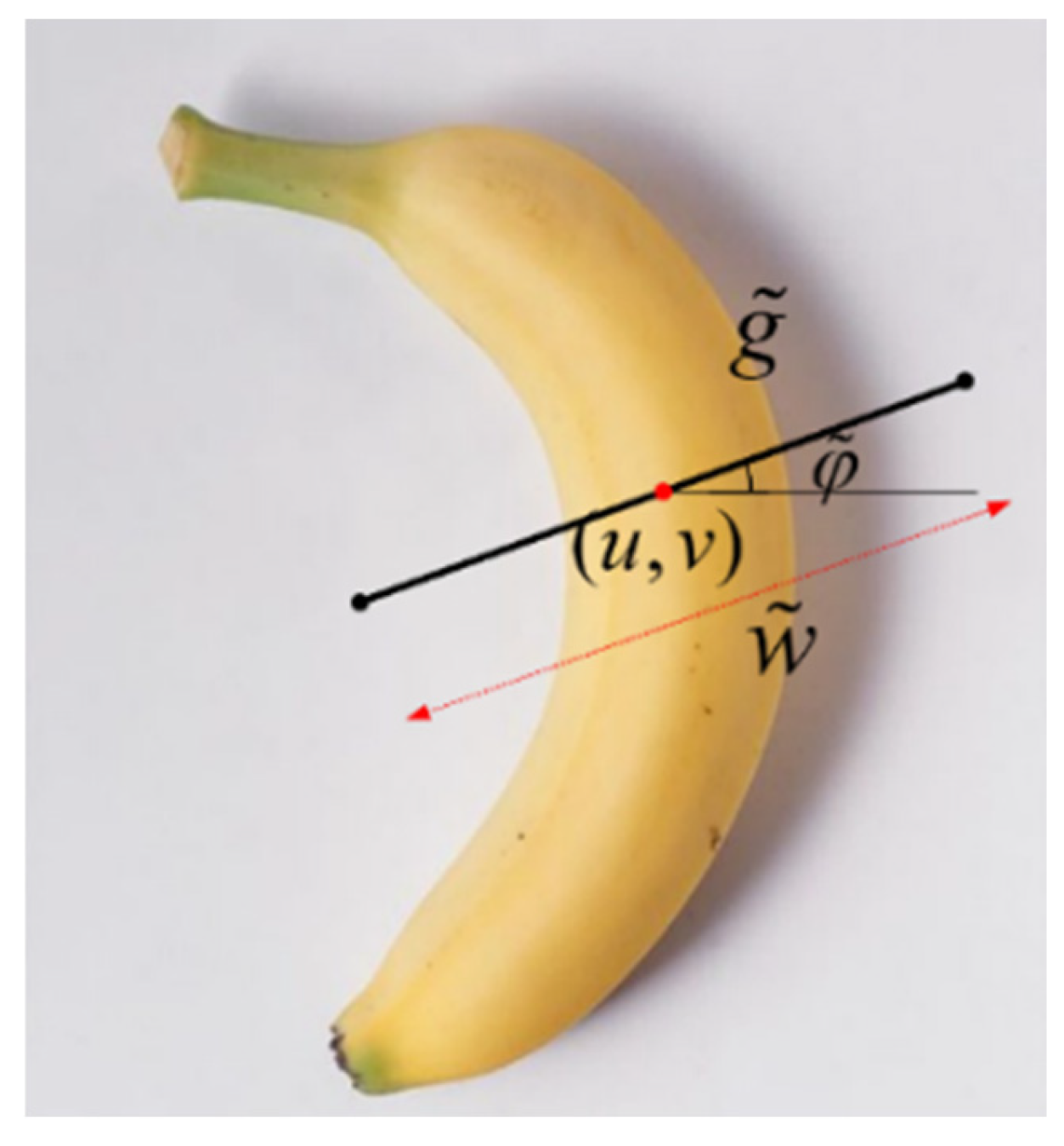 Agronomy 15 01376 g004