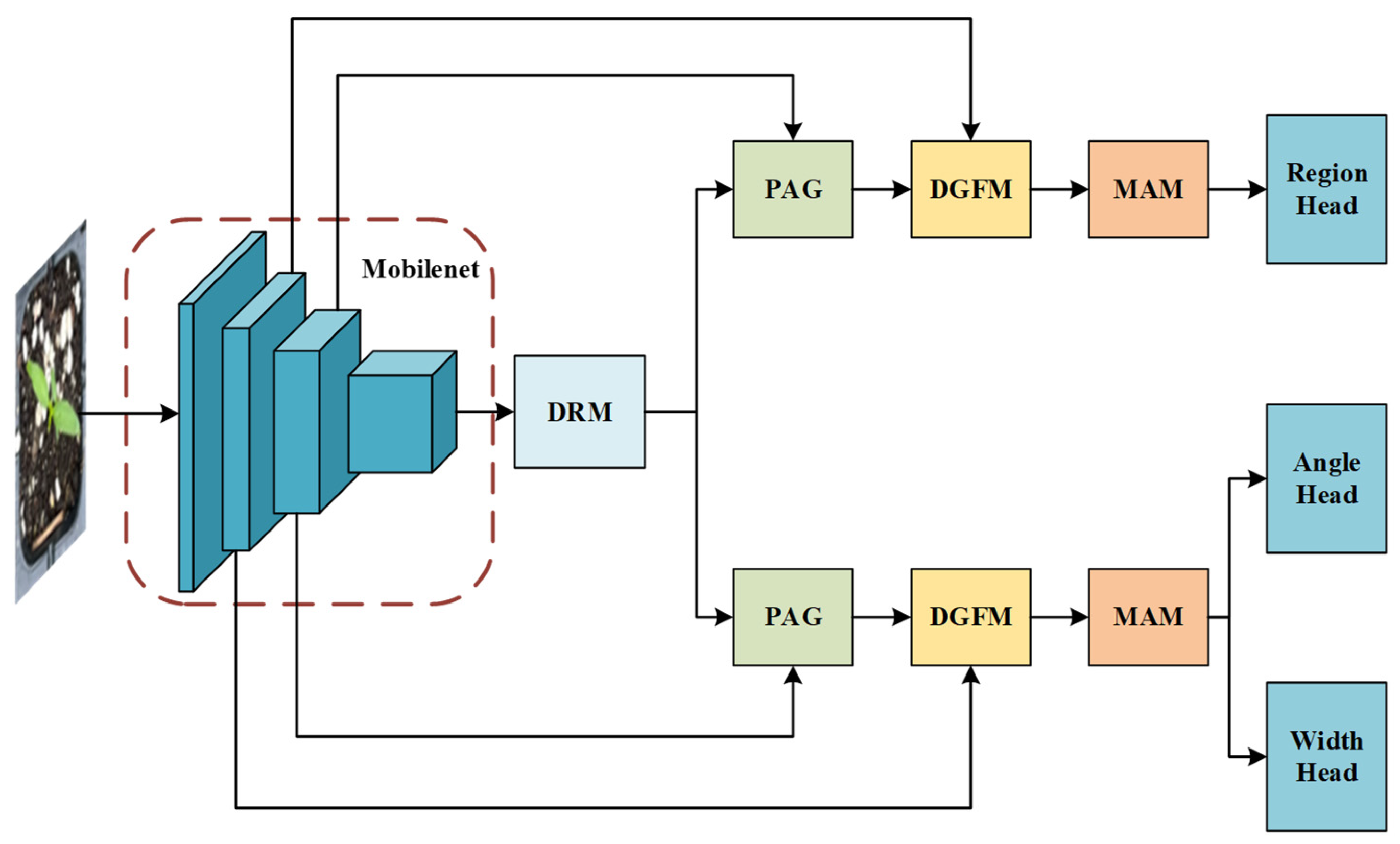 Agronomy 15 01376 g005