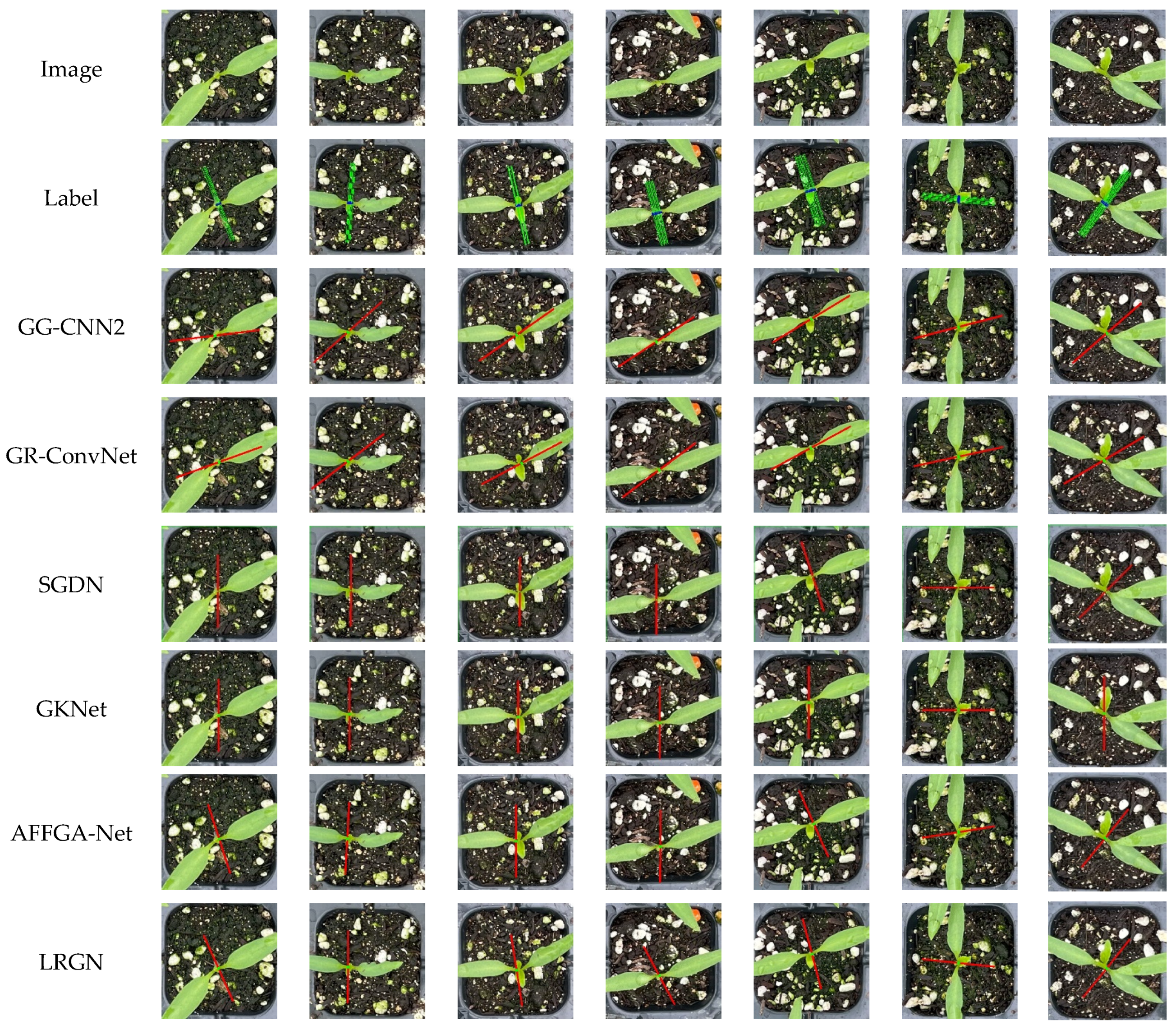 Agronomy 15 01376 g013