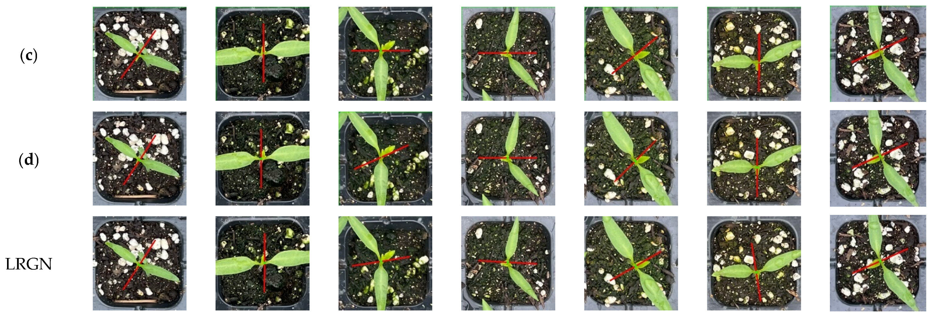 Agronomy 15 01376 g014b