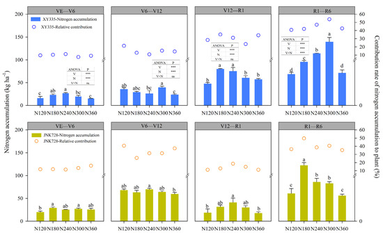 Improving Leaf GOGAT Activity After the Post-Silking Period