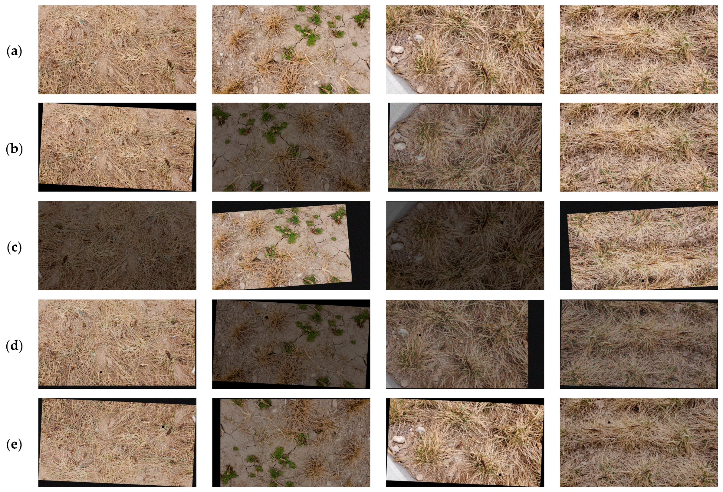 Agronomy 15 01381 g002