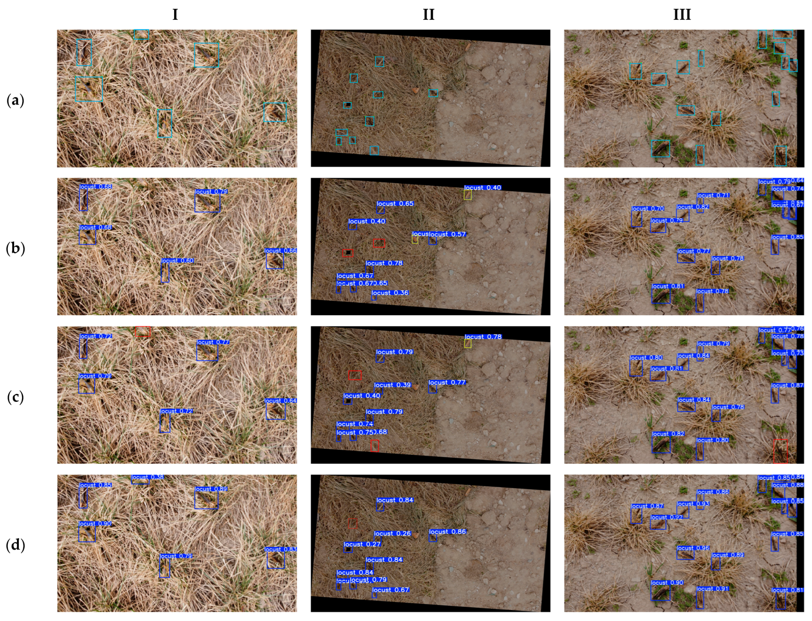 Agronomy 15 01381 g011