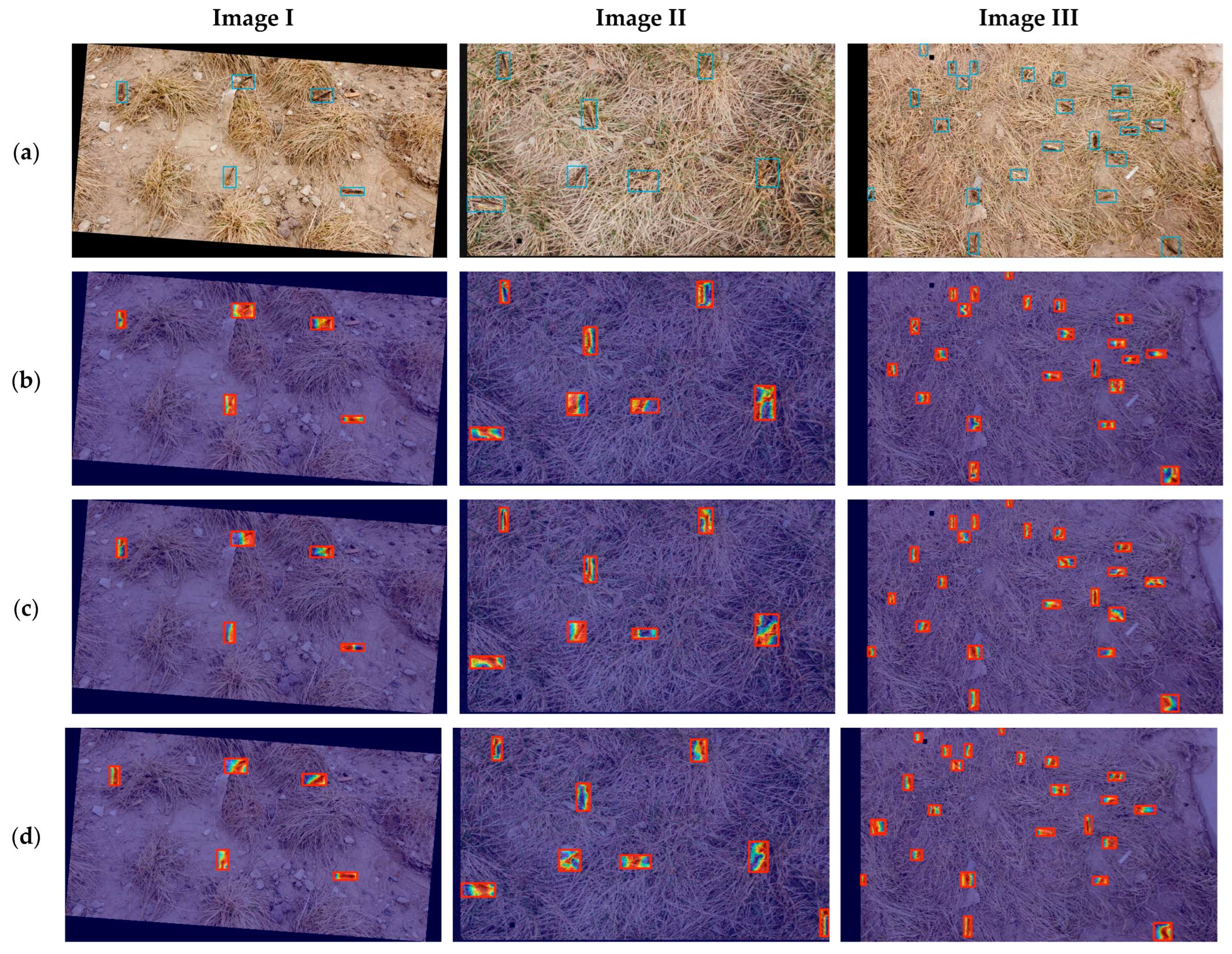 Agronomy 15 01381 g012