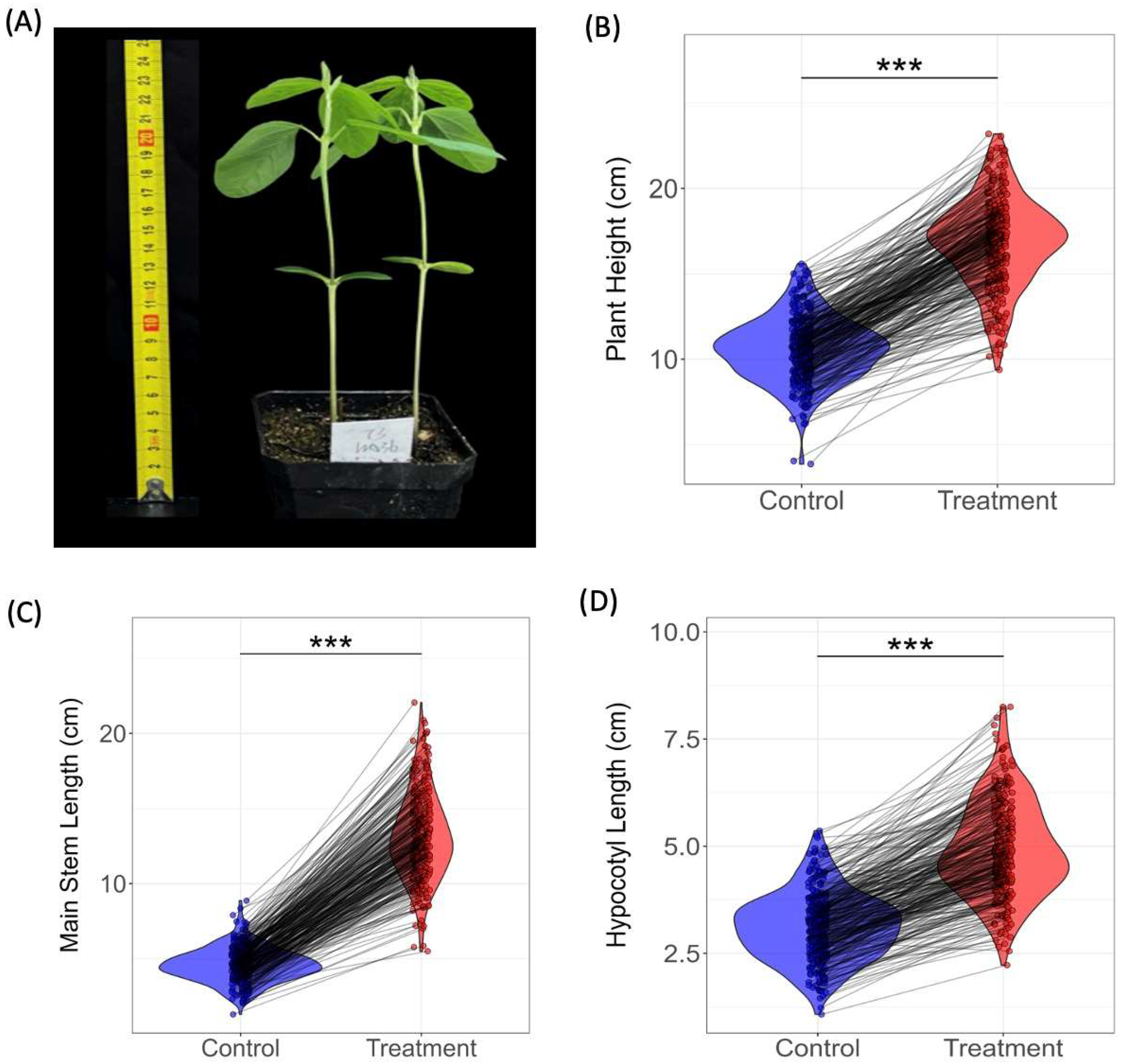 Agronomy 15 01382 g001