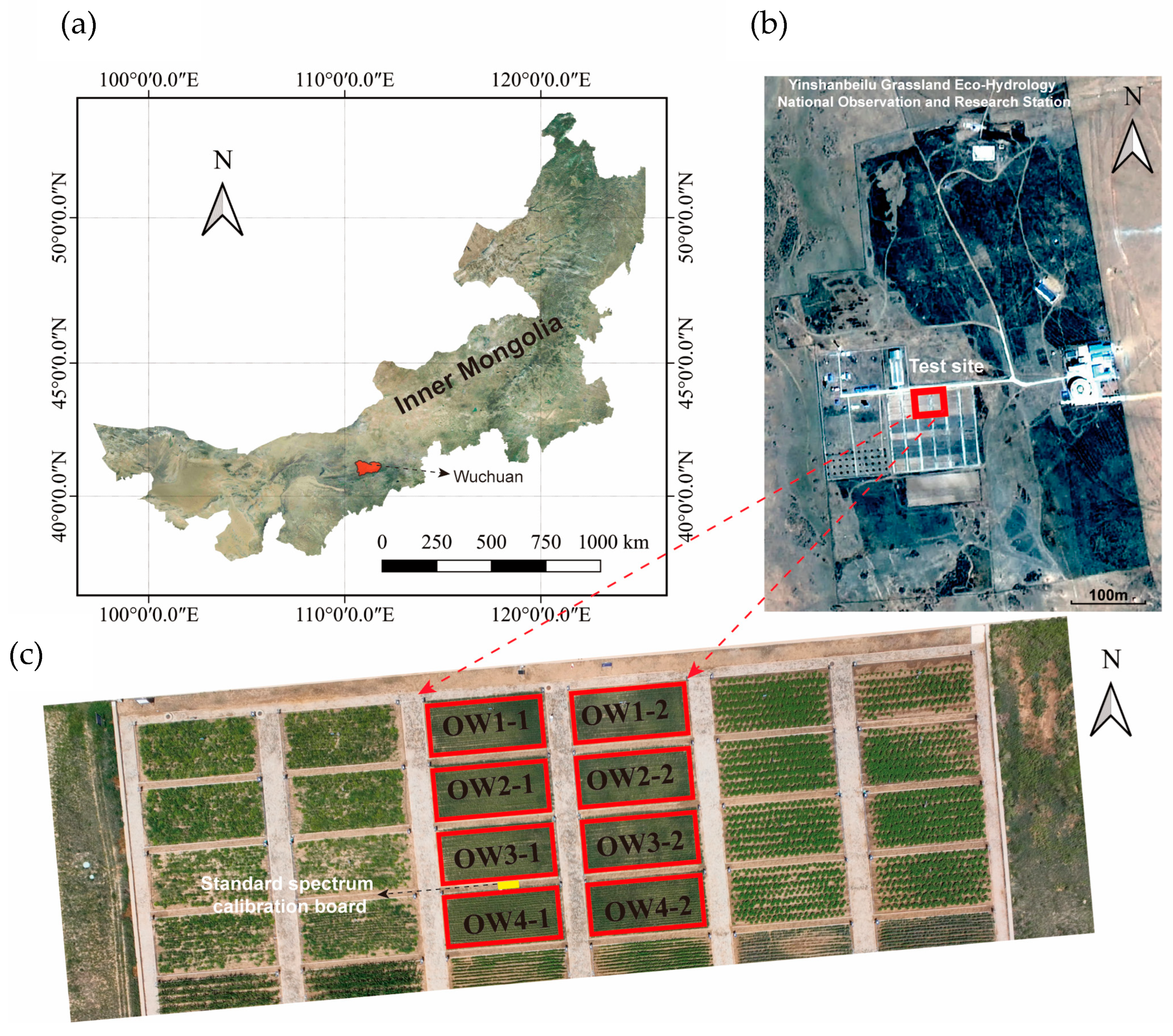 Agronomy 15 01389 g001
