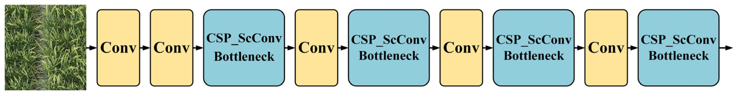 Agronomy 15 01396 g004