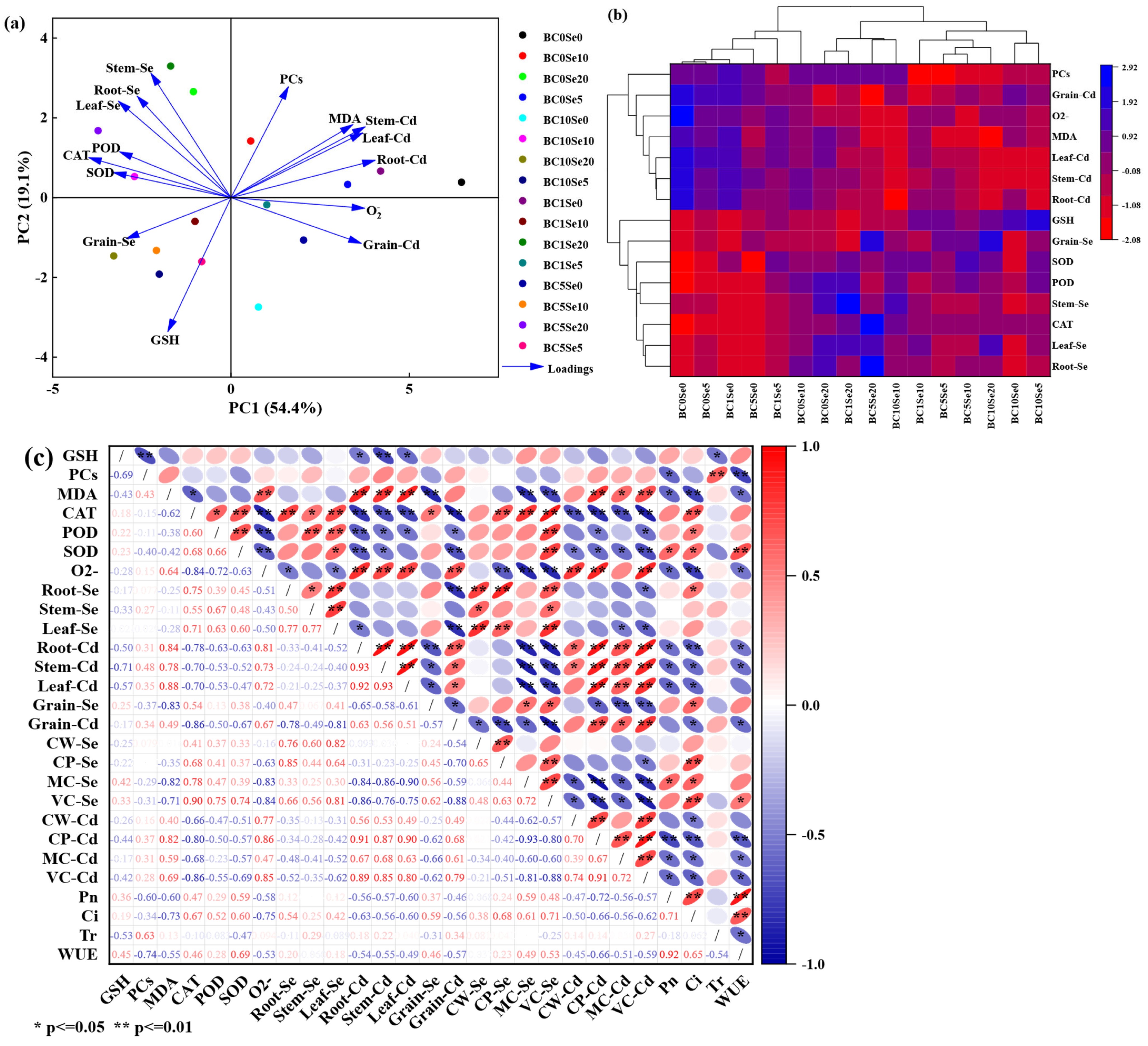 Agronomy 15 01398 g005