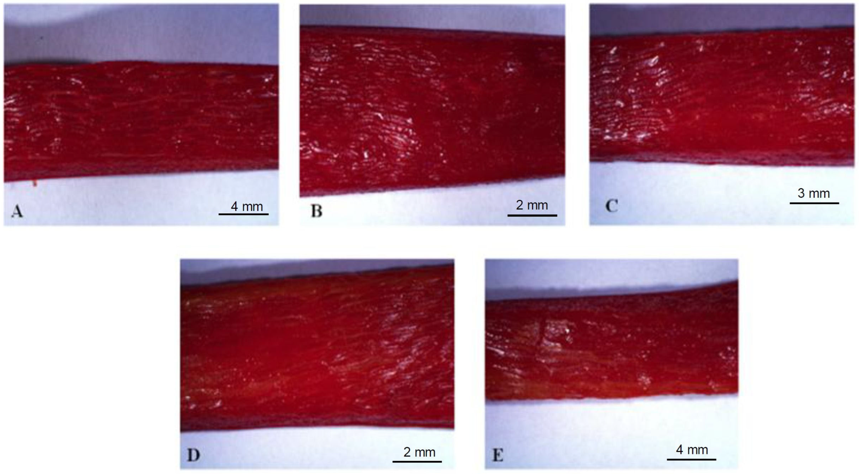 Agronomy 15 01406 g003