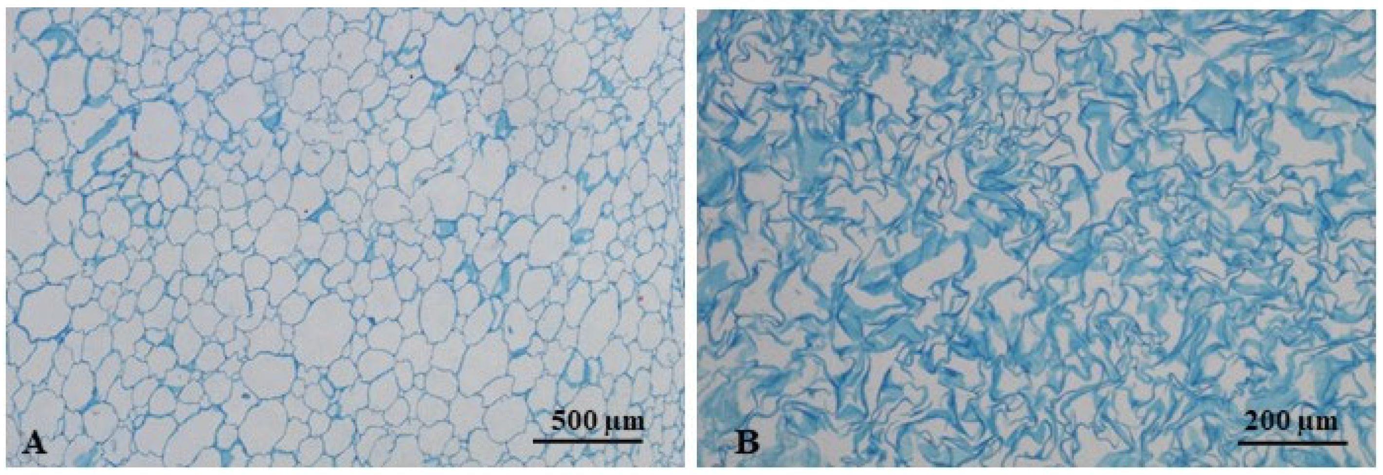 Agronomy 15 01406 g006