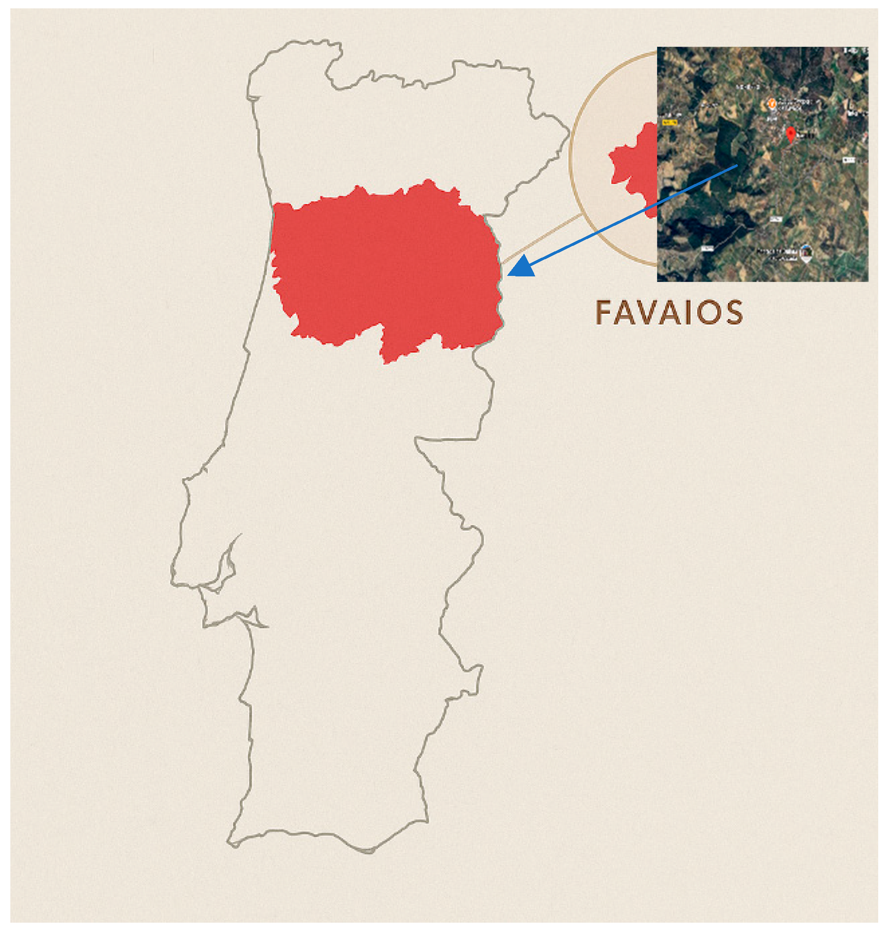 Agronomy 15 01408 g001