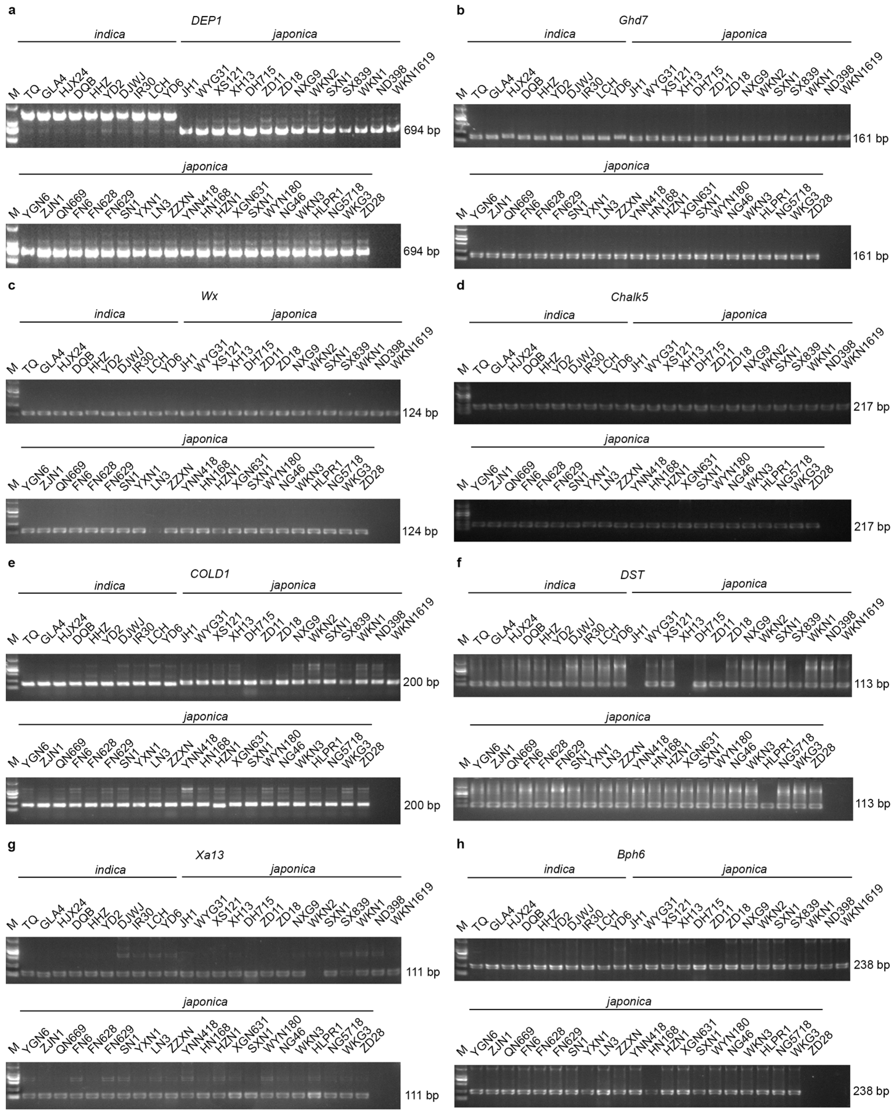 Agronomy 15 01409 g007